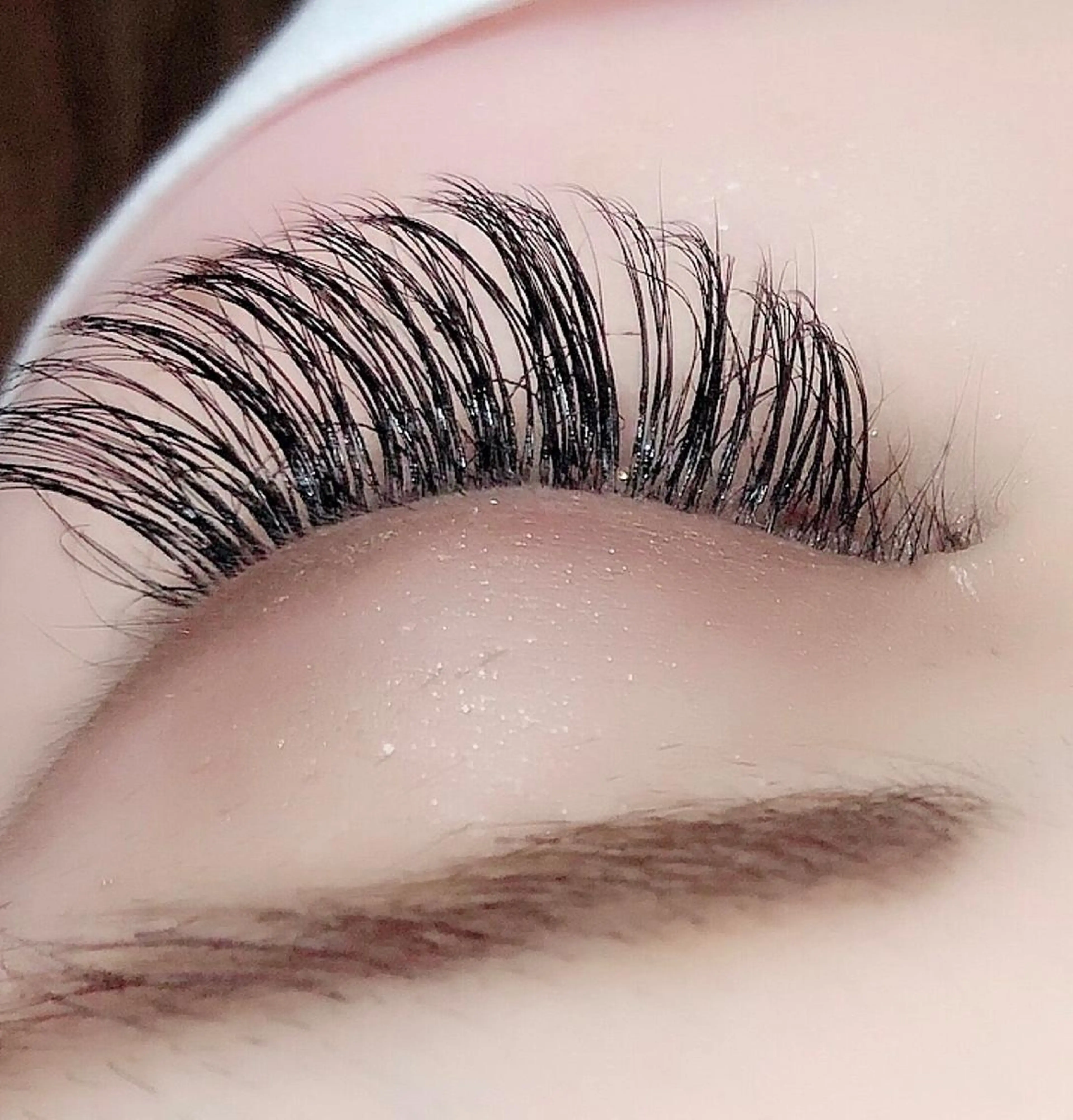 minimo限定⭐ご新規様【他店オフ無料】3Dボリュームラッシュ100束の写真