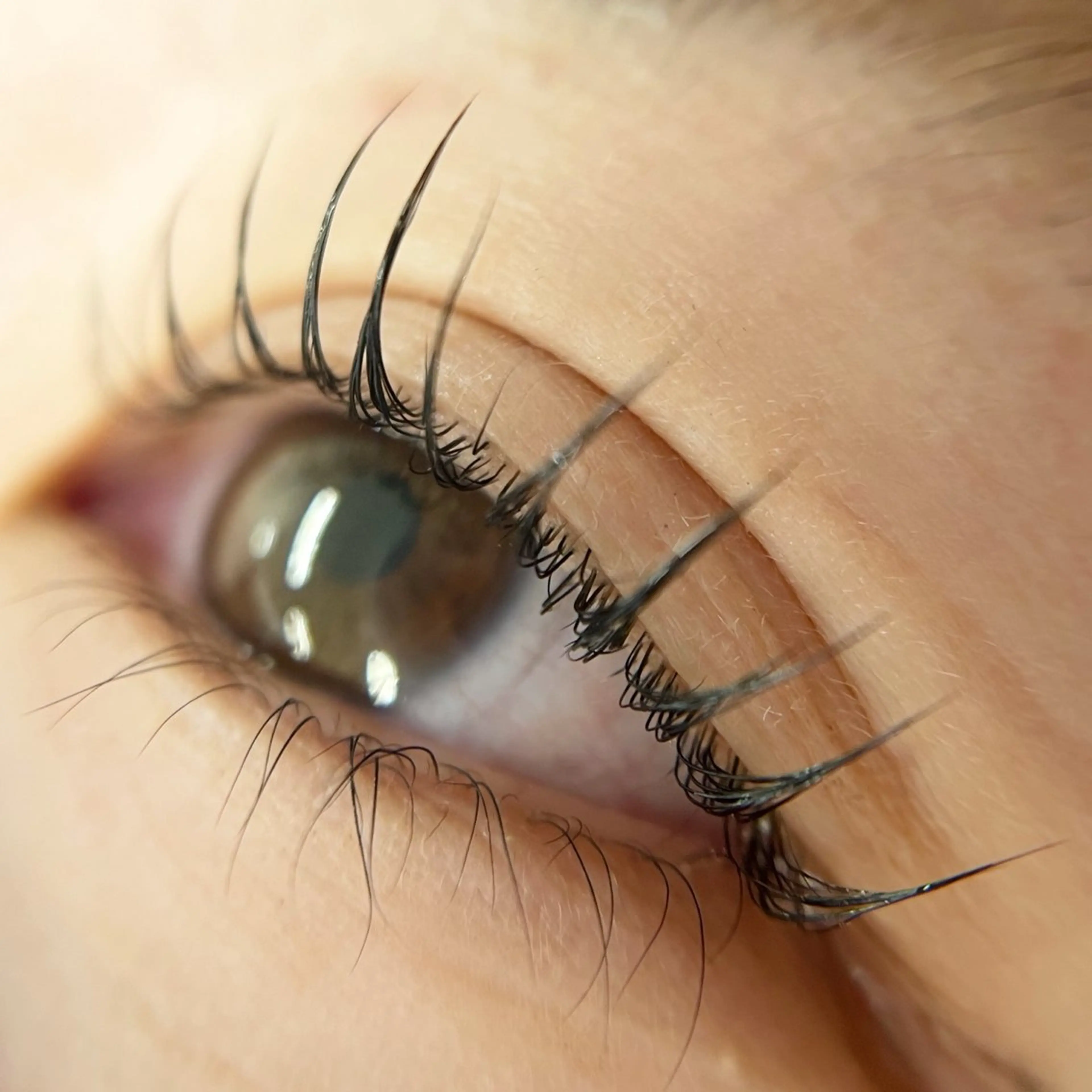 マツエク・マツパ 束感まつ毛 まつげパーマ Liyone橋本所属・Liyone 橋本のマツエク・マツパデザイン