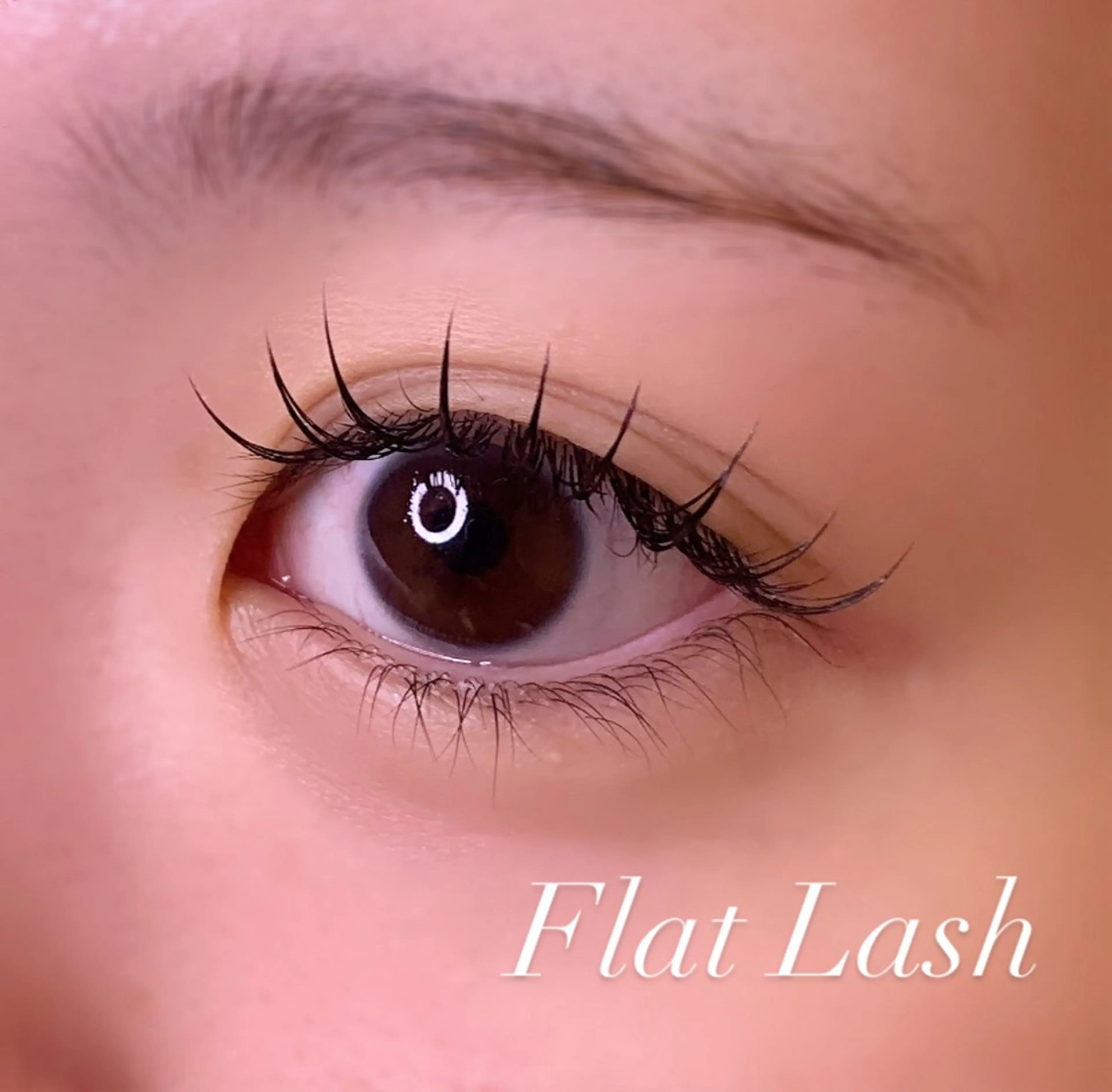 マツエク・マツパ Cカール フラットラッシュ マツエク Ayumi.pro 🍆N《4階》のマツエク・マツパデザイン