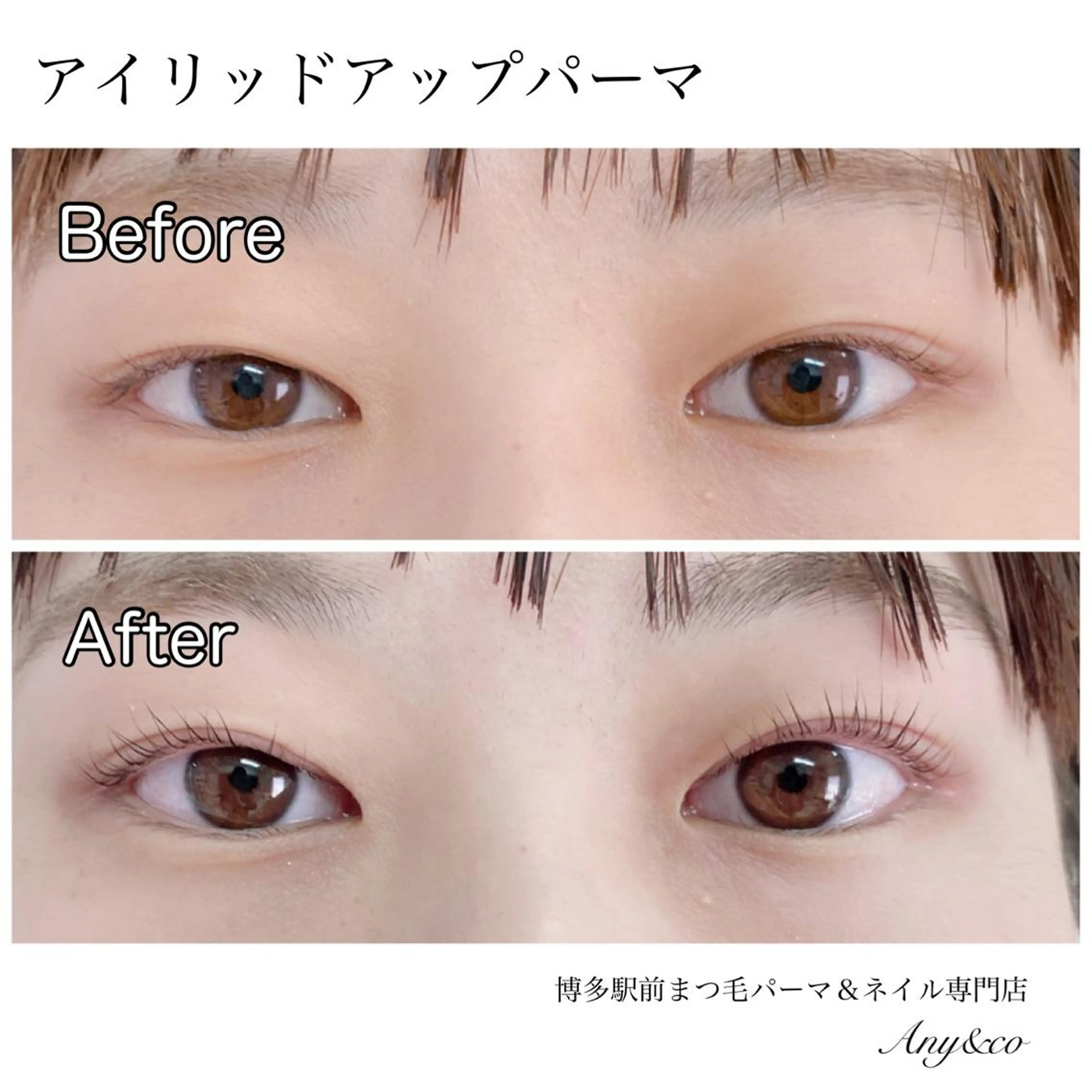 マツエク・マツパ アイリッドアップパーマ Any&co 【エニコ】のマツエク・マツパデザイン