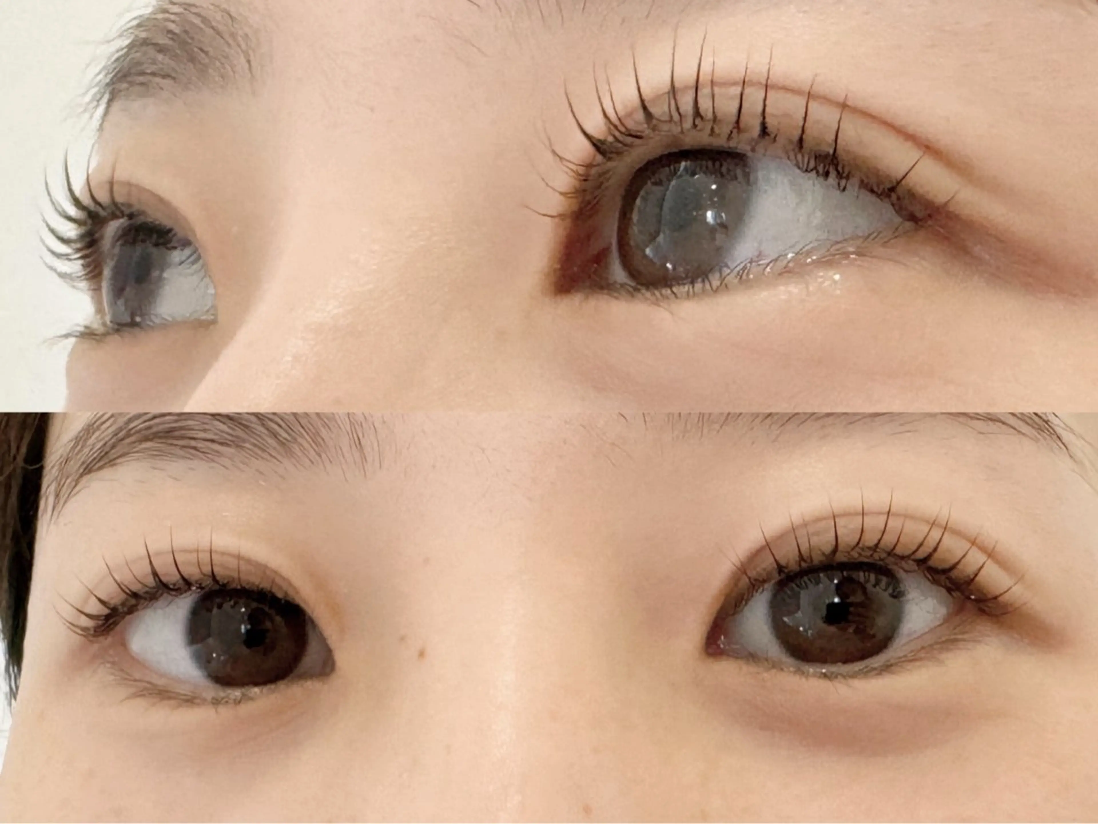 マツエク・マツパ 🧸Lily船橋 石川🌿‬のマツエク・マツパデザイン