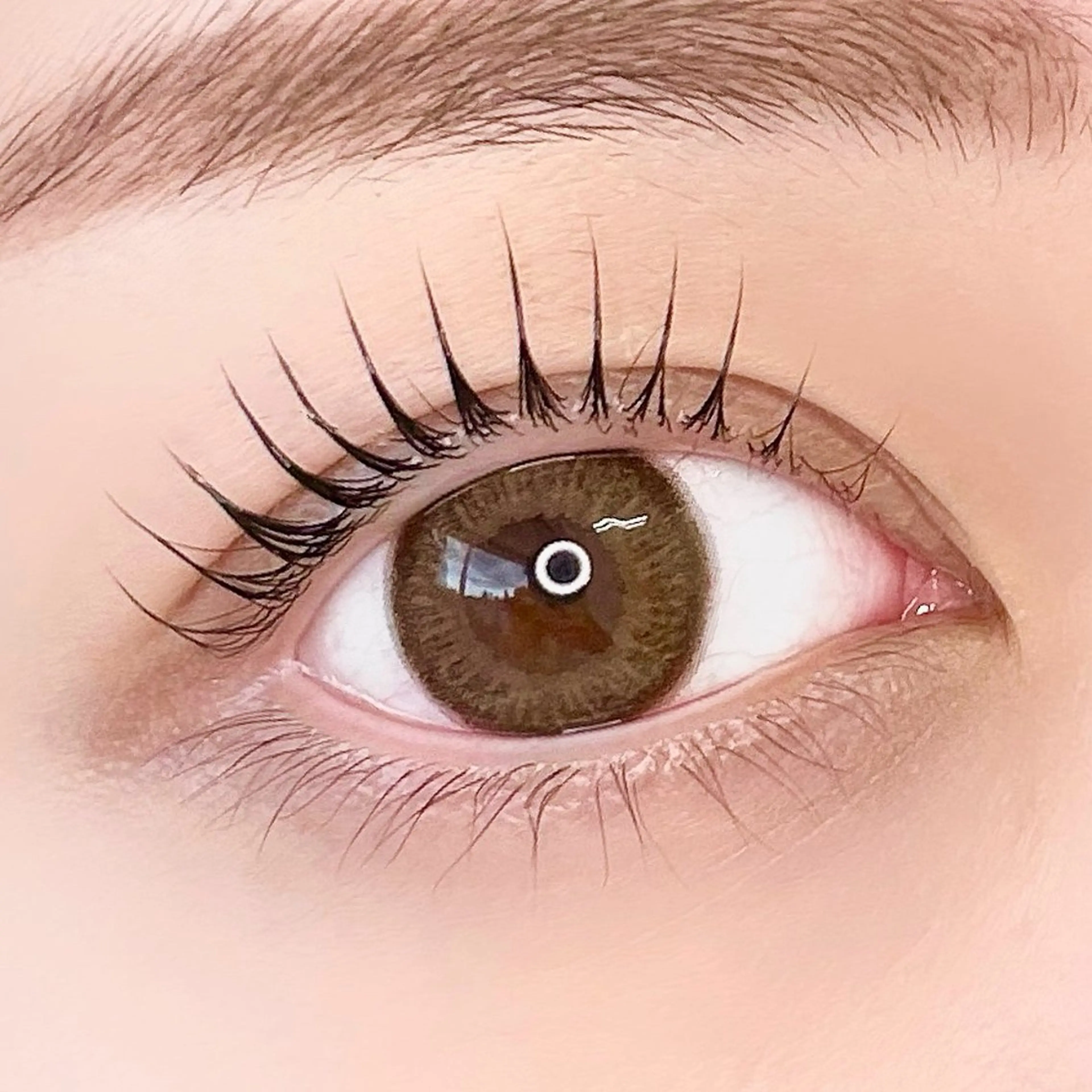 Xmas前限定🎅トリートメント付🎁半額‼️【パリジェンヌorラッシュリフト】の写真