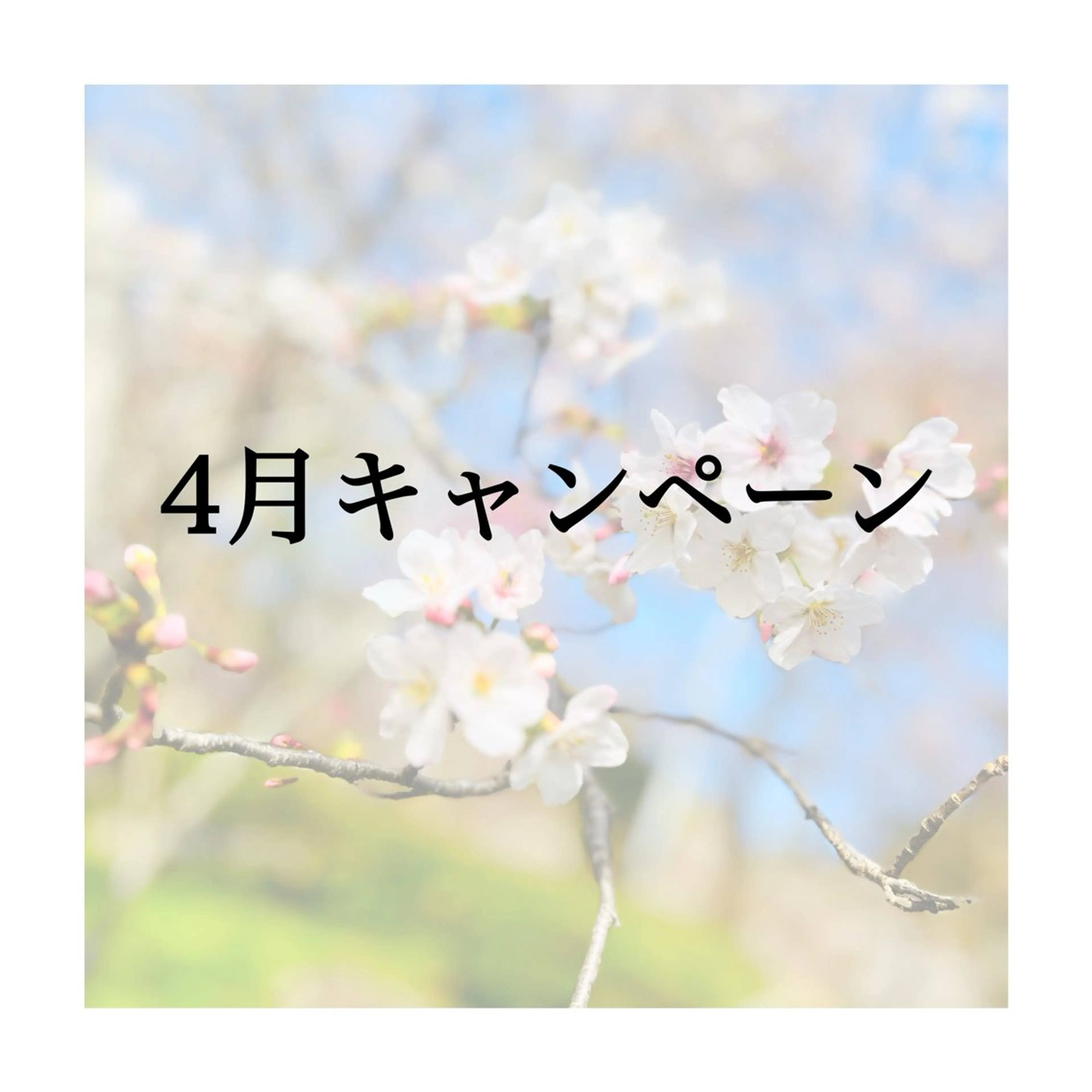 アロマ･美容鍼･カッ ピング「麗」鍼灸院のエステ・リラクイメージ