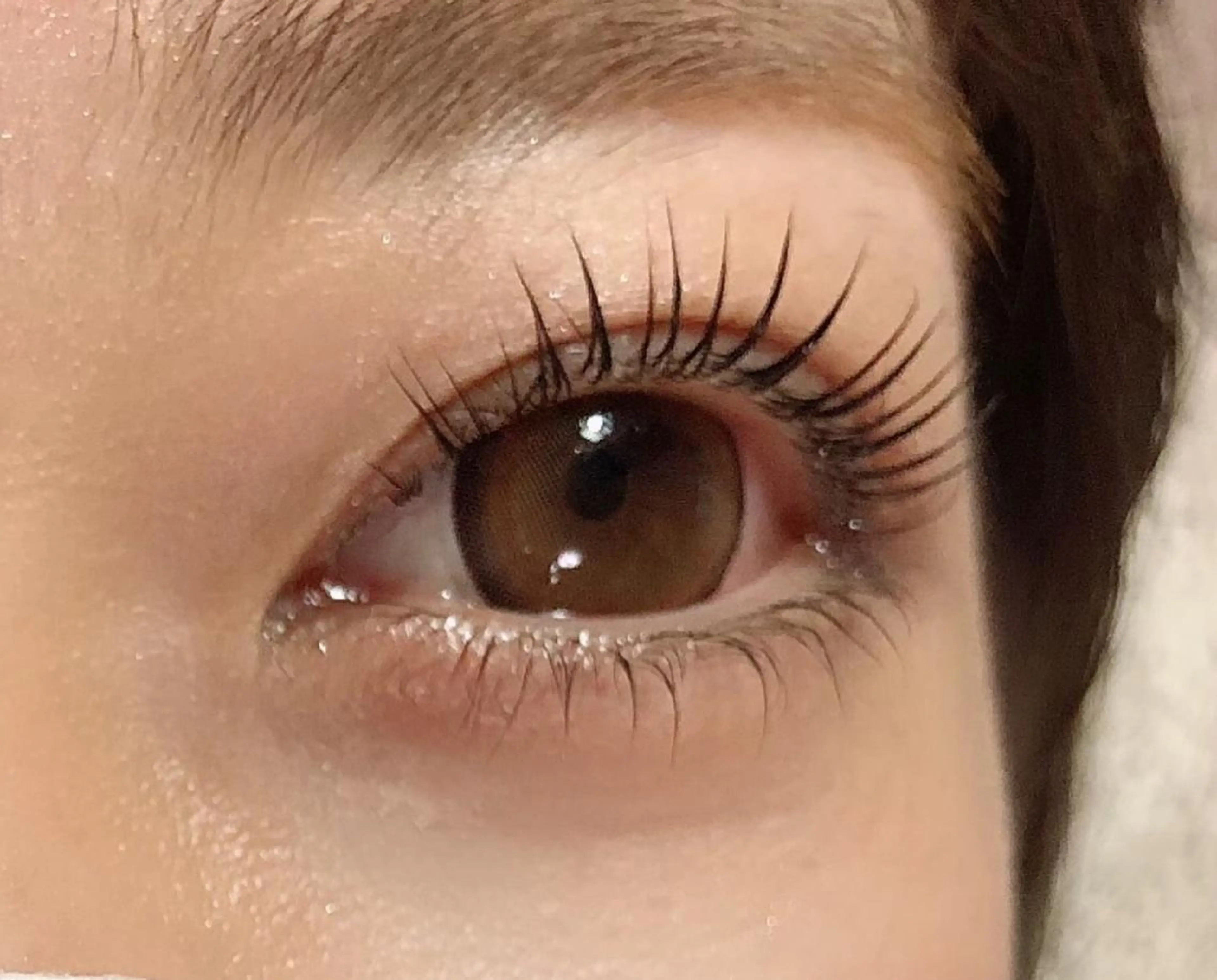 12/21まで✨まつ毛パーマ¥2,980✨の写真