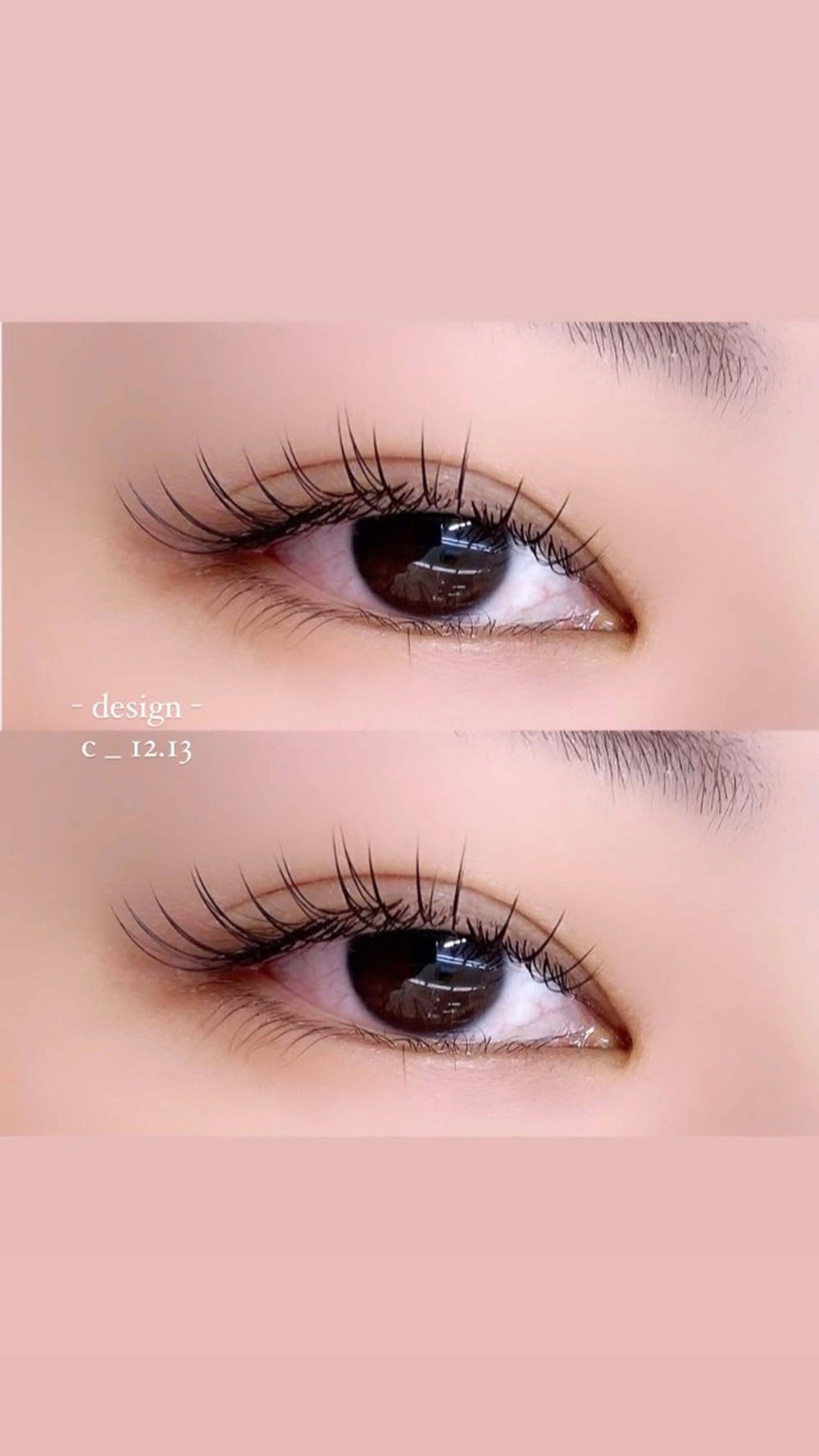 フラットラッシュ 120本の写真