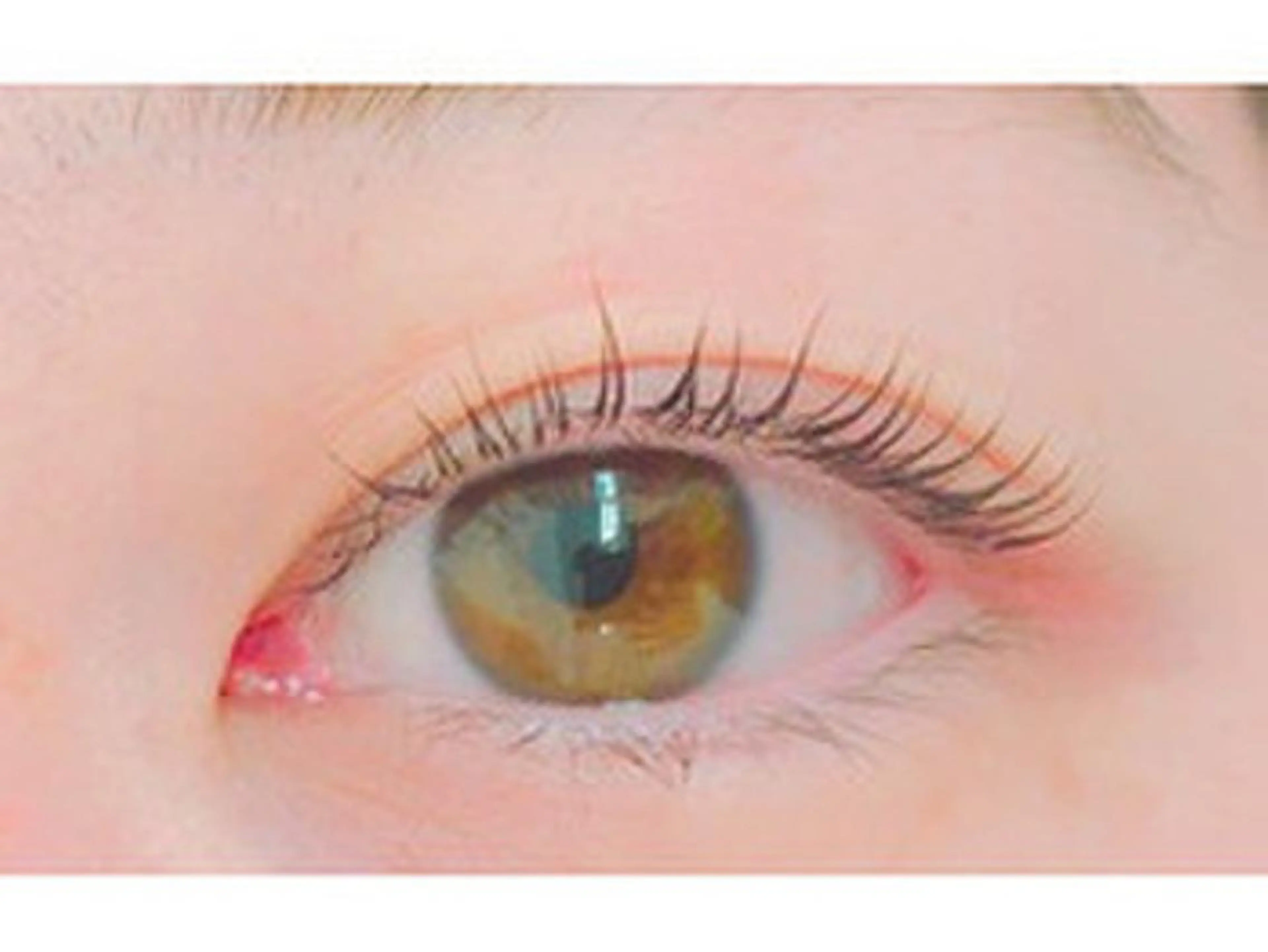 マツエク・マツパ マツエク・マツパ 募集のマツエク・マツパデザイン