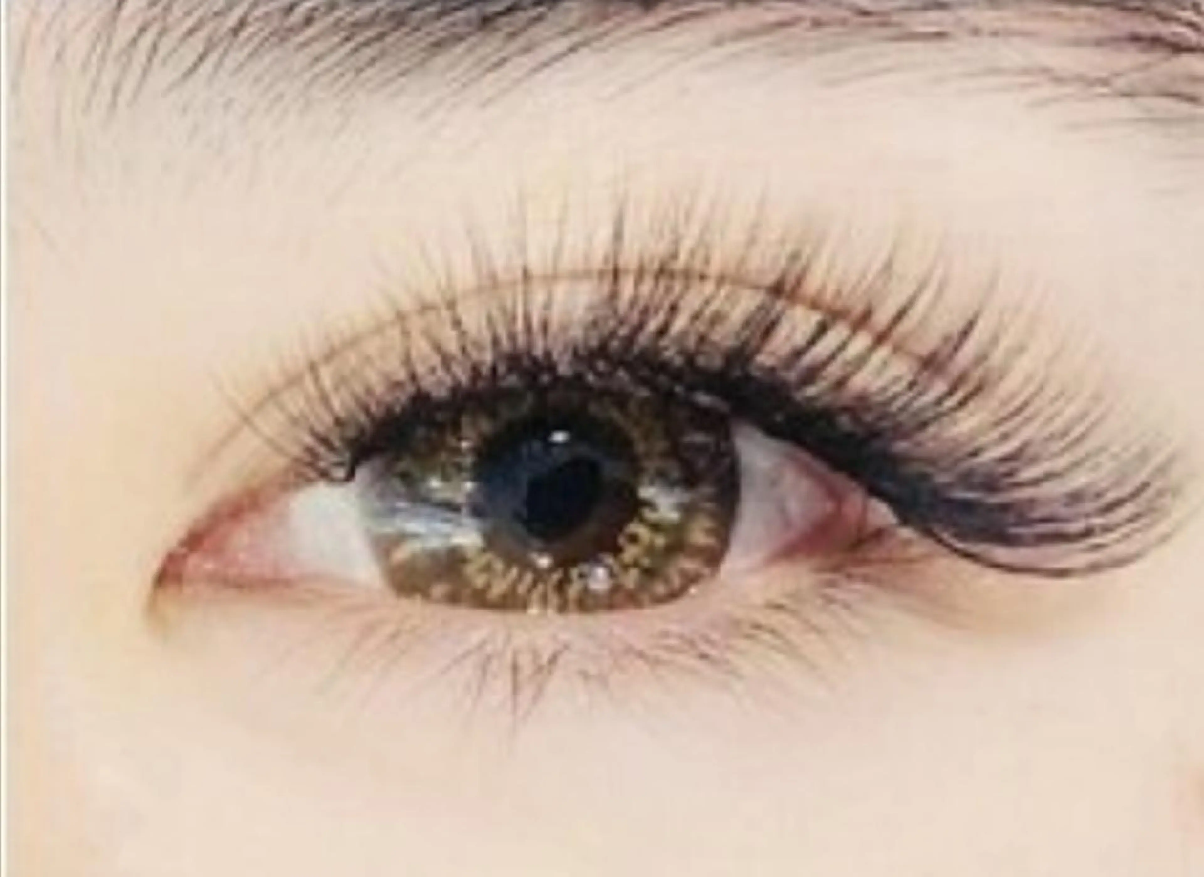 極細毛3Dボリュームラッシュ80束240本(リピーター様の場合+440円)の写真