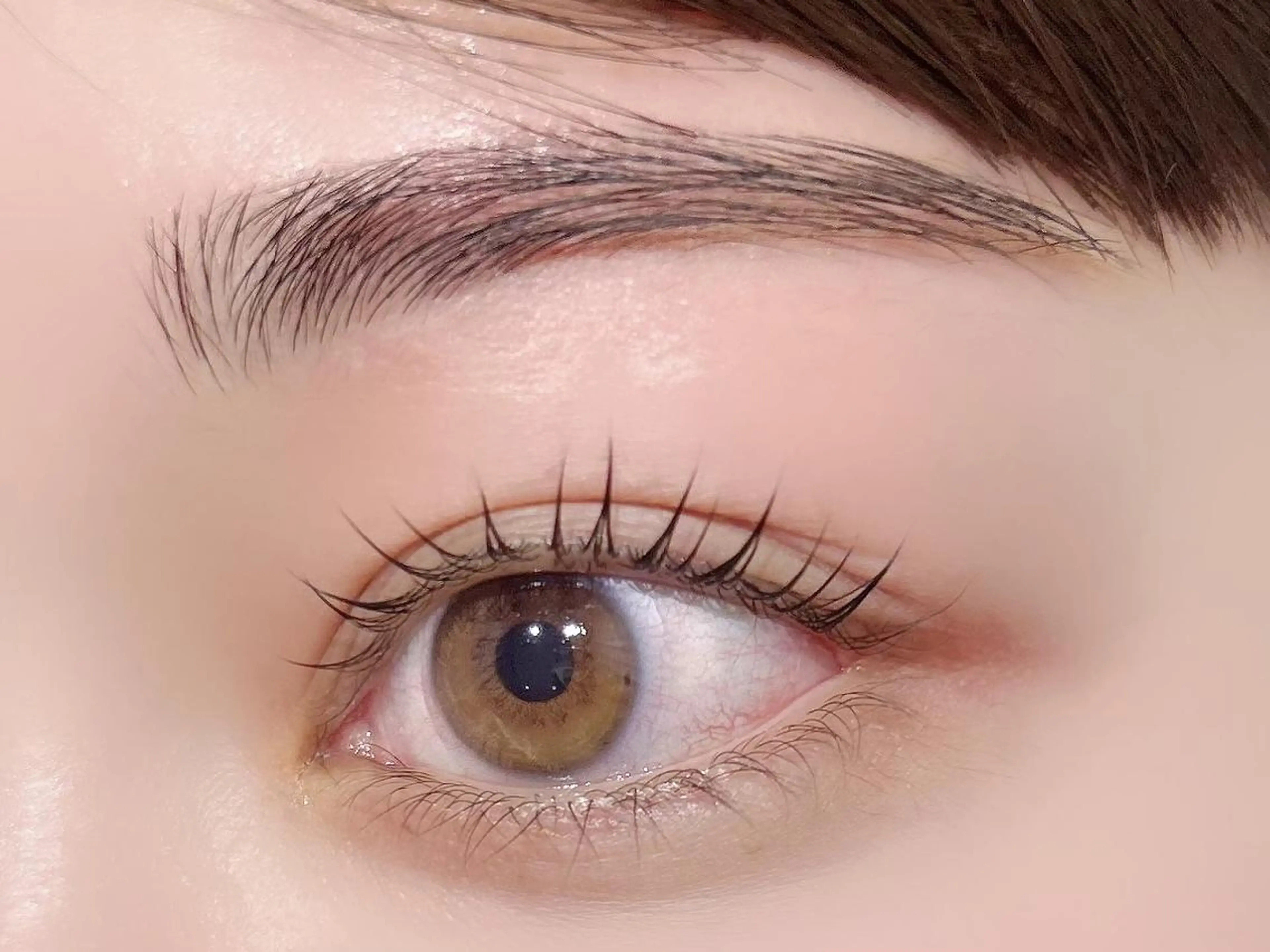 【人気No.1☆ᯤ】パリジェンヌラッシュリフトorまつげパーマ❤️の写真