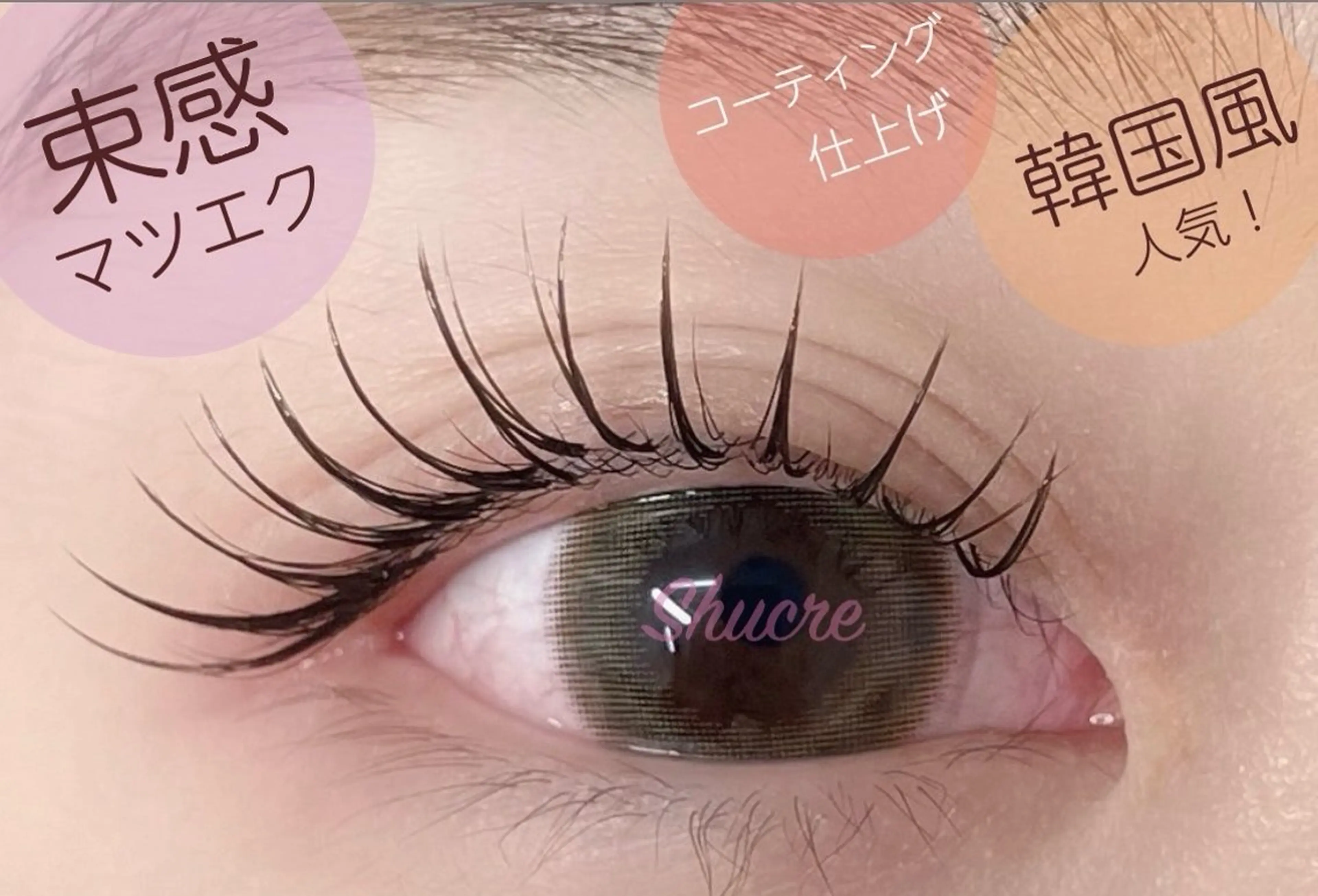 12月17日限定【束感★韓国風マツエク 120本】ナチュラル/コーティング仕上げの写真