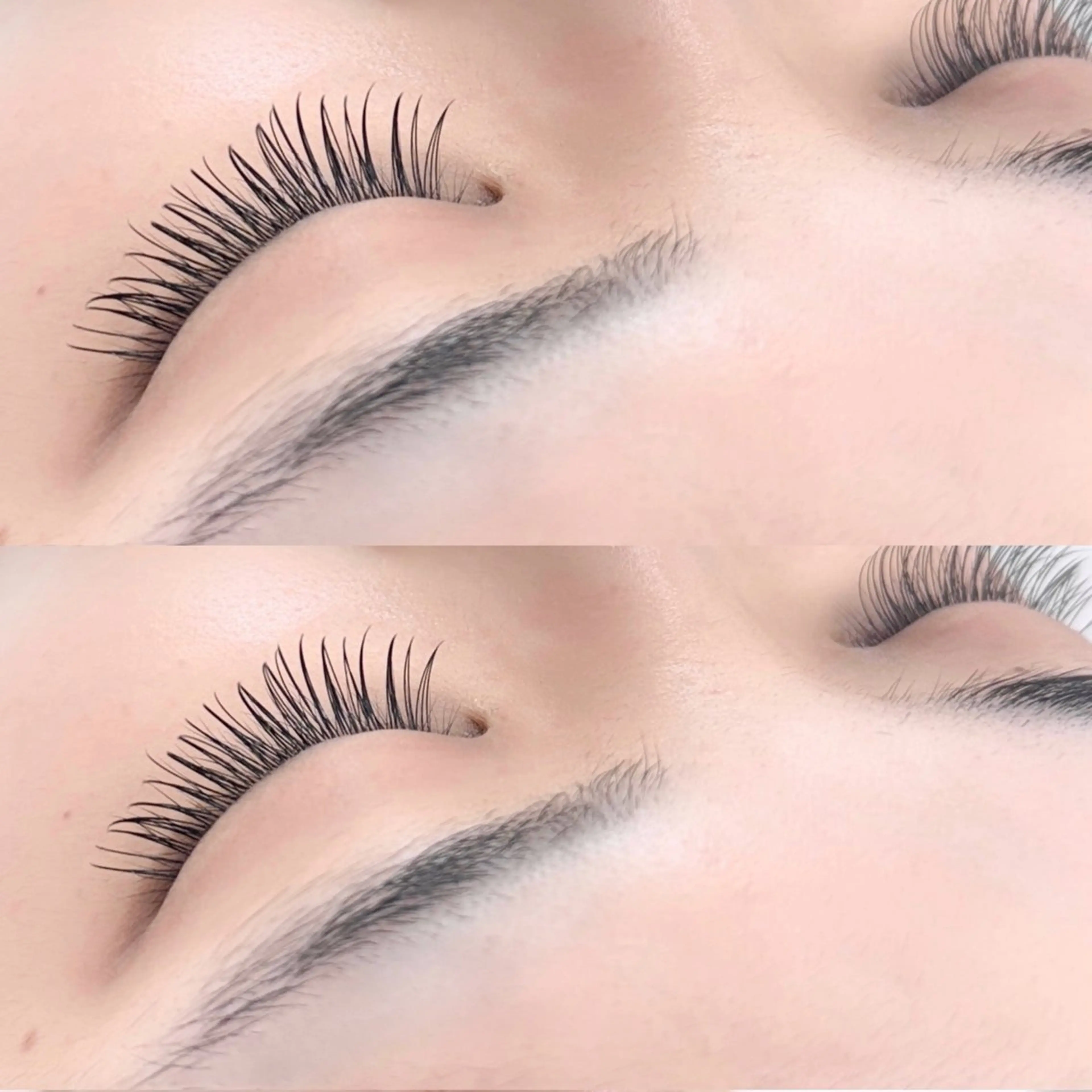 🎀ミニモ当日限定🎀ミンクセーブル100本つけ放題　3850円の写真