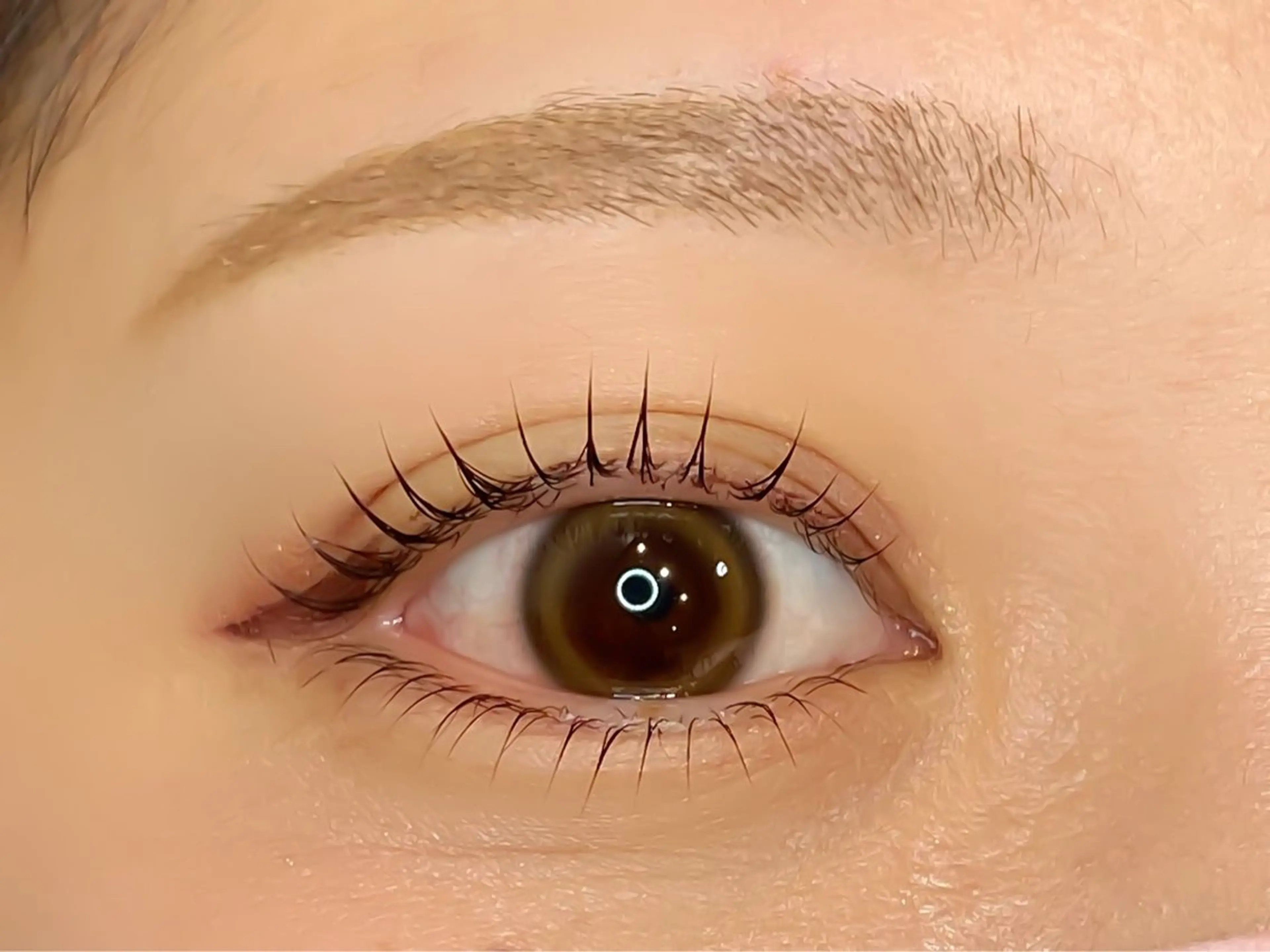 マツエク・マツパ マツパ ミニモ公認/ ｱｲﾘｽﾄ葵.のマツエク・マツパデザイン