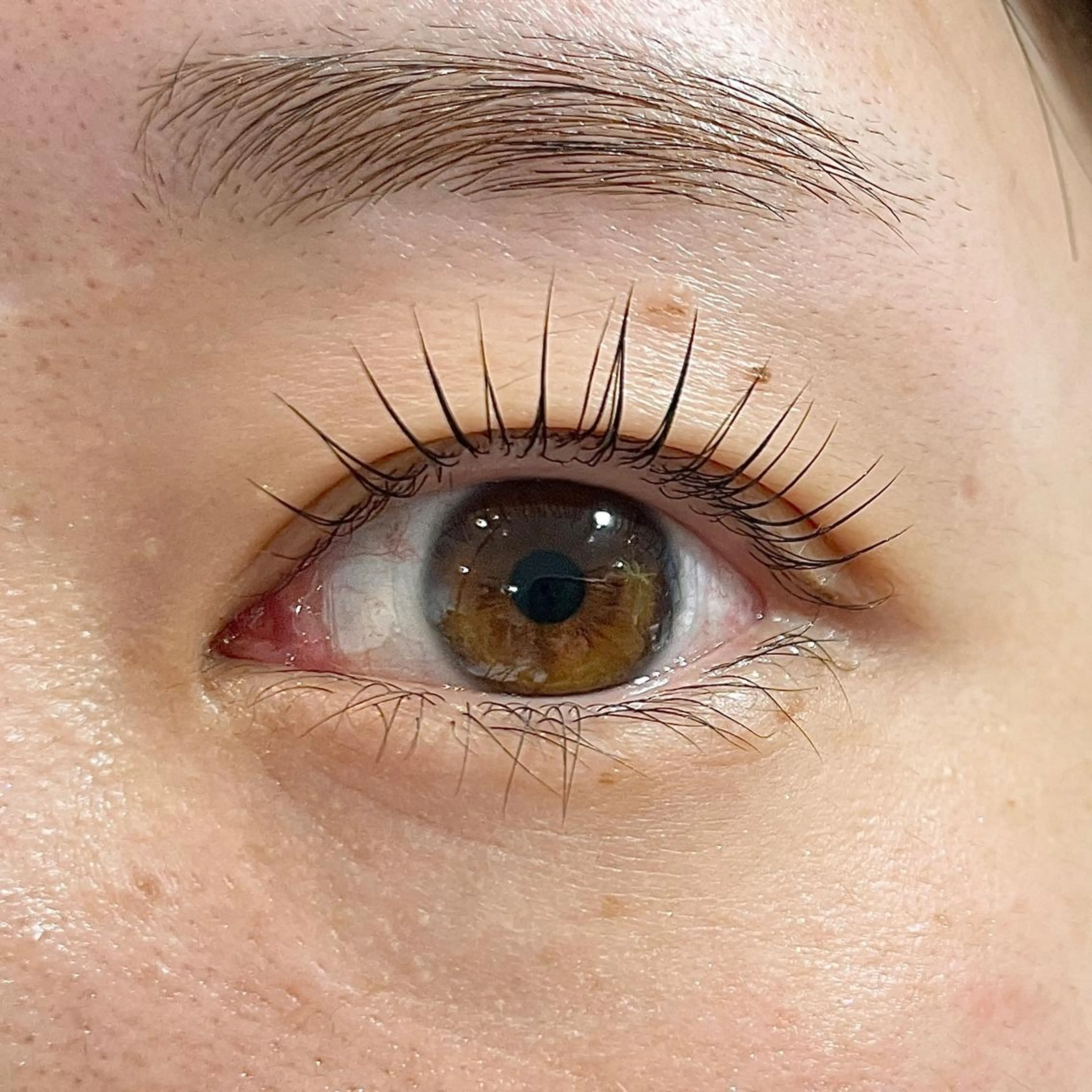 マツエク・マツパ アイブロウ ケラチンラッシュリフト 一重×まつ毛パーマ マツパ GrandStory SALON NAKAMEGURO所属・中目黒駅徒歩3分🌼 natsuのマツエク・マツパデザイン