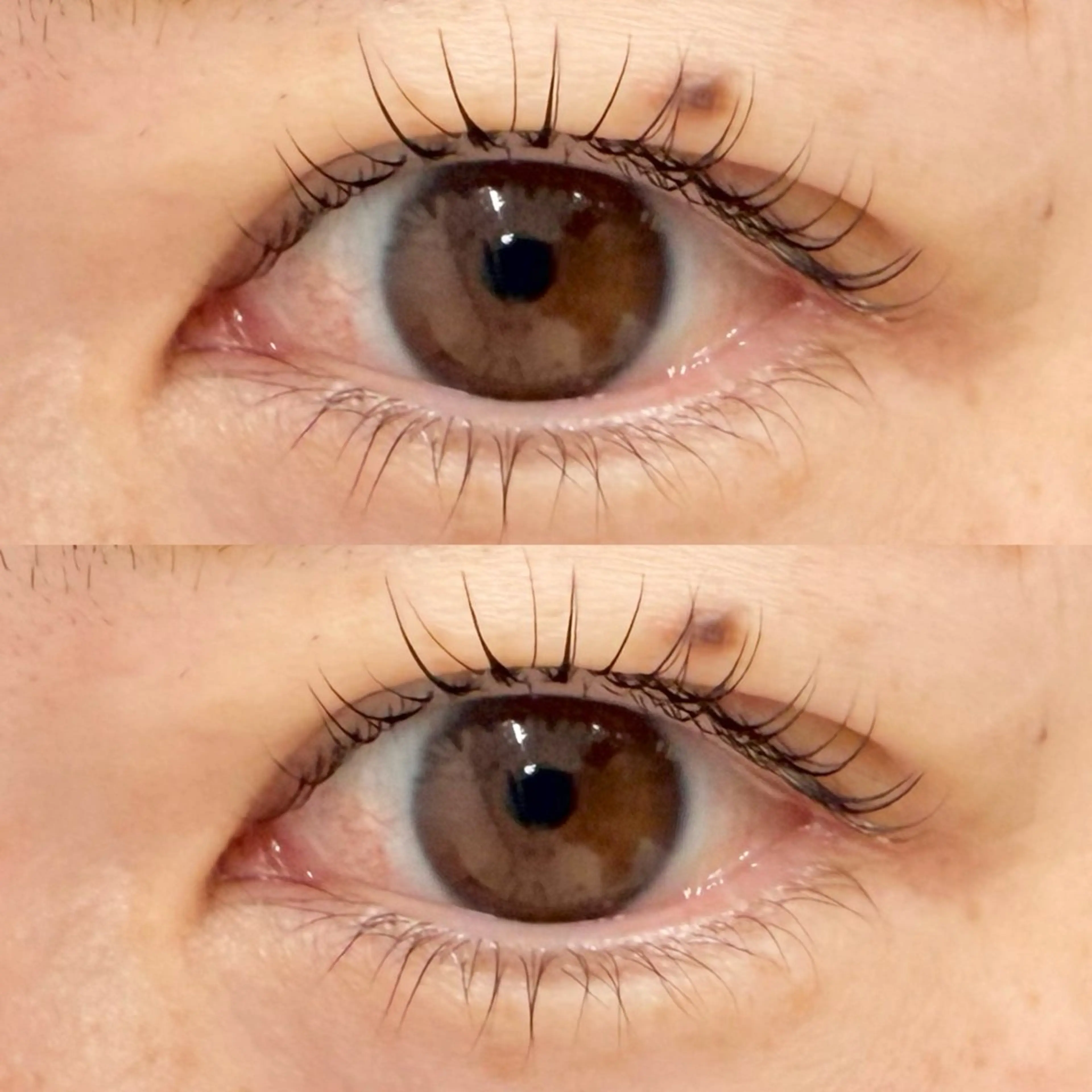 マツエク・マツパ サクラブロウ 第2ビル店　小松の眉毛・アイブロウイメージ