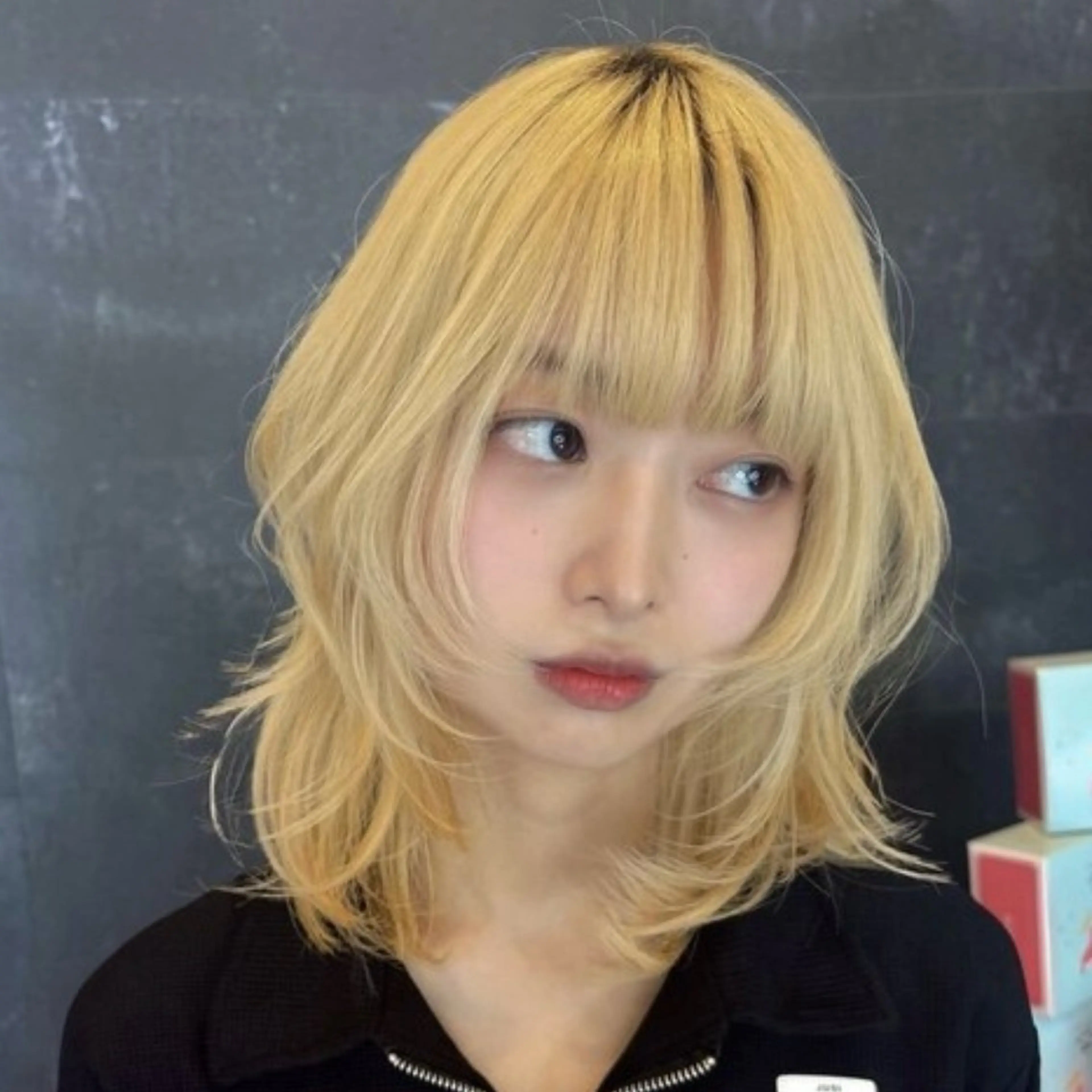 ミディアム ハイトーン/ボブ/ ハイライト🌱ᩚ涼介のヘアスタイル