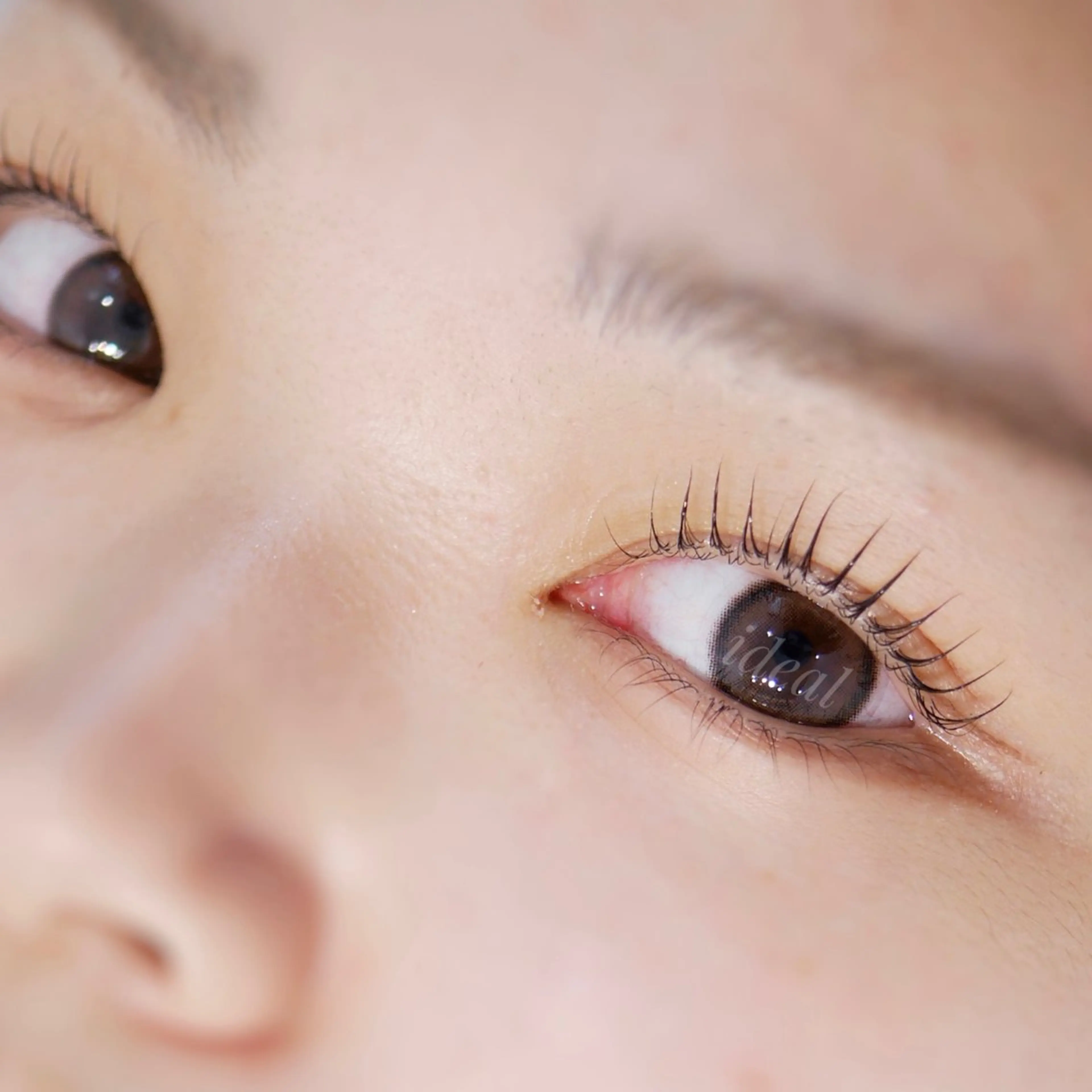 マツエク・マツパ まつげ＆眉毛サロンidéal所属・idéal 高島のマツエク・マツパデザイン