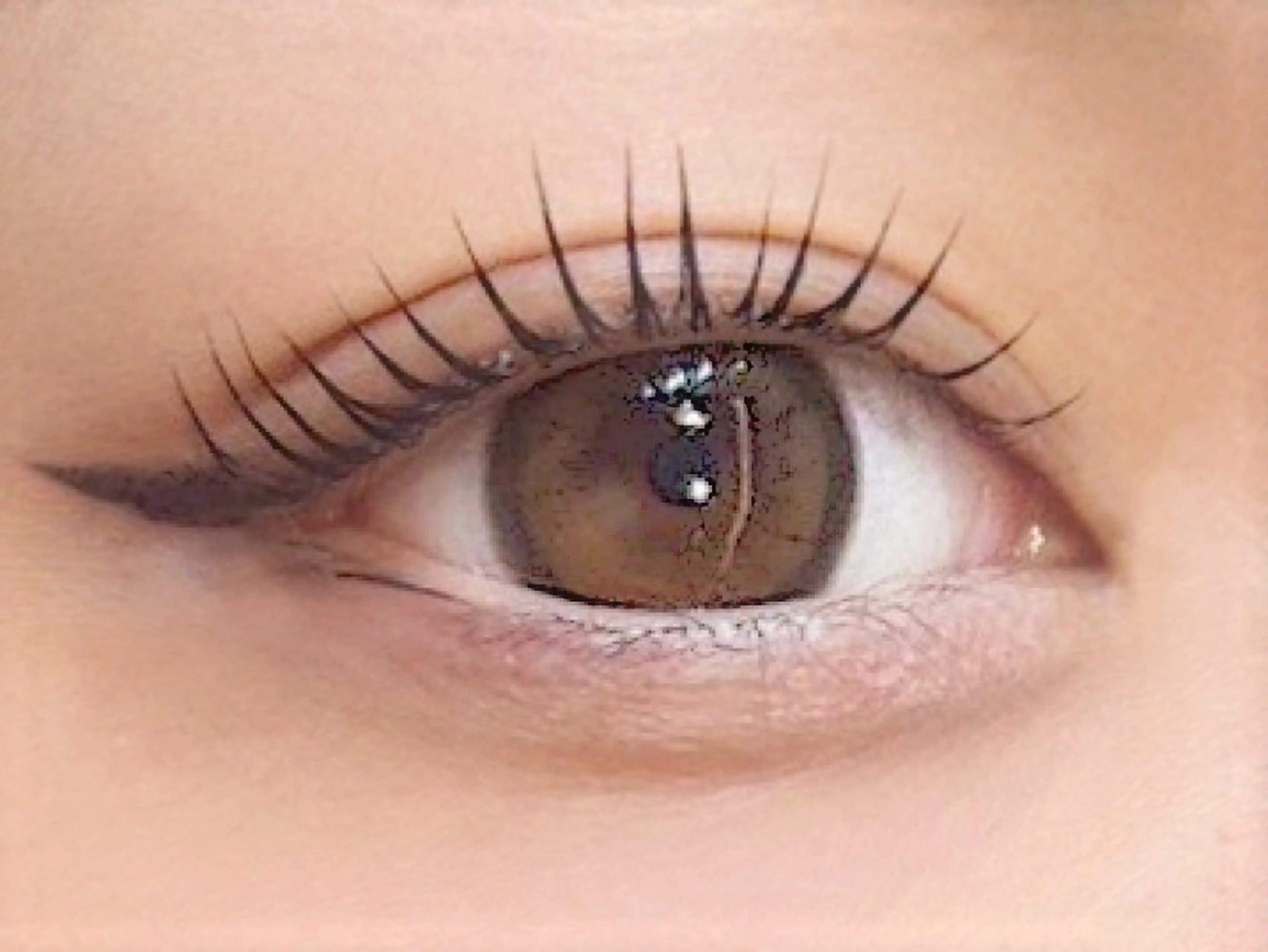 OPEN記念価格🌷人気No.1まつげパーマ*ラッシュリフト/¥4000幹細胞トリートメント付🎀の写真