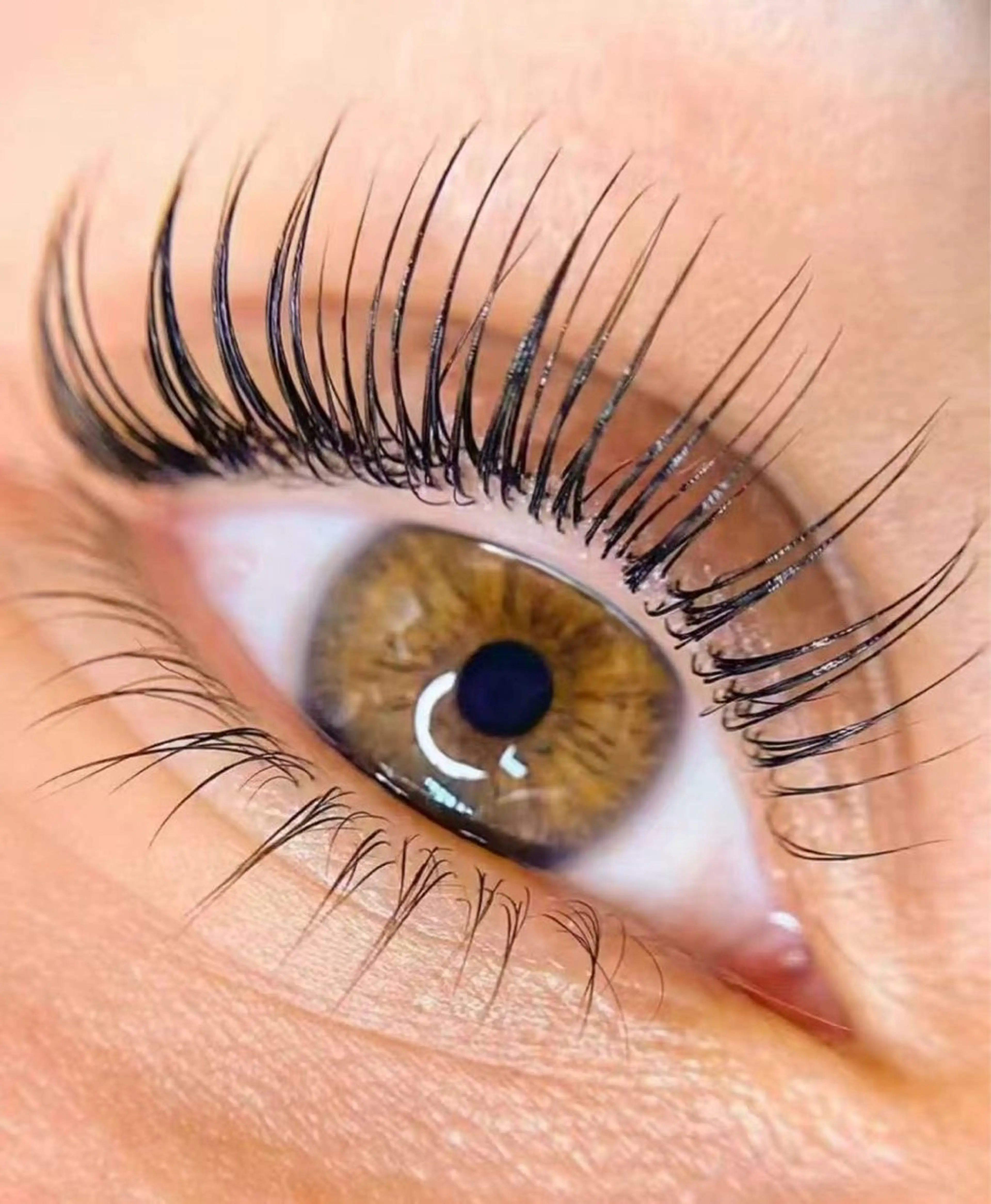 潤いまつげパーマ次世代 上下セット(美容液付き)の写真