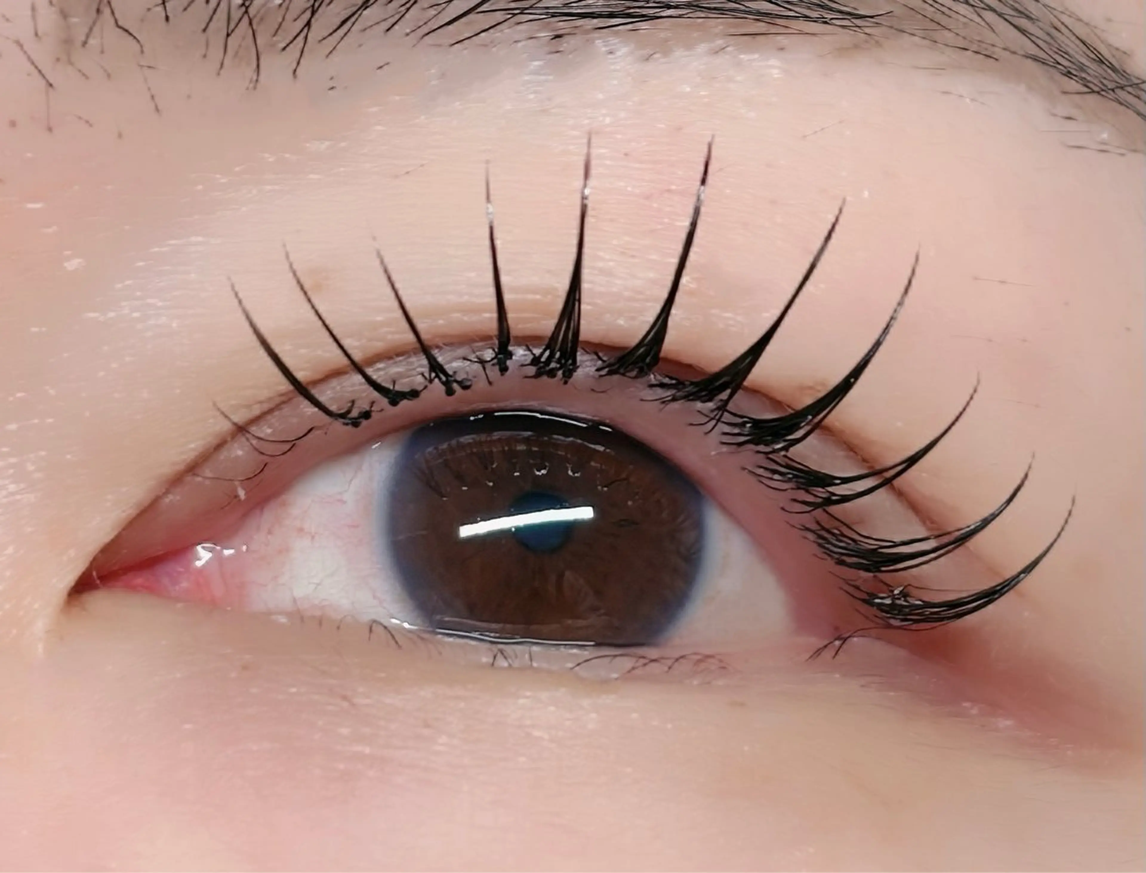 マツエク・マツパ フラットラッシュ マツエク ルチア所属・ルチア💞 luciaのマツエク・マツパデザイン