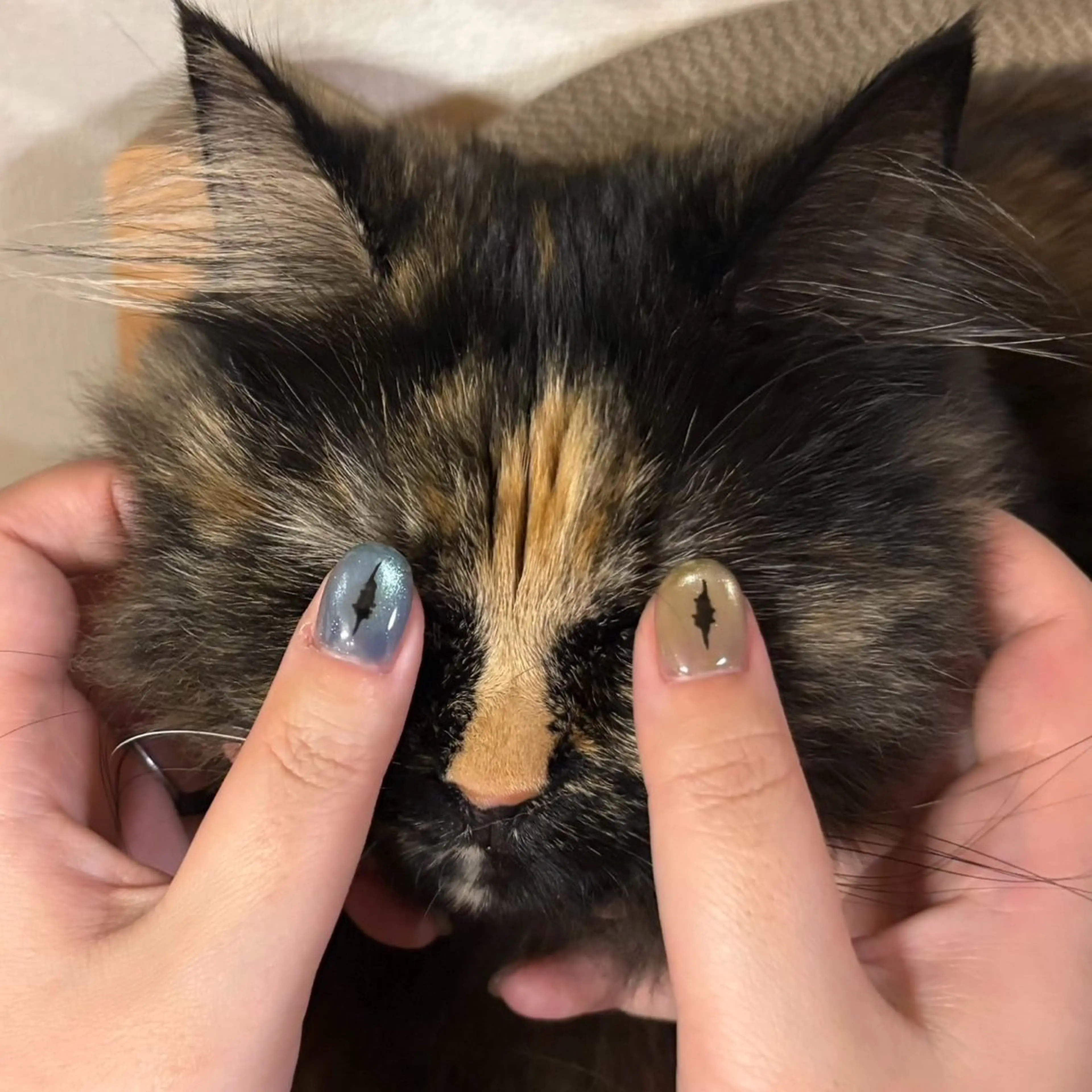 ネイル 💅fleur Ayumiのネイルデザイン