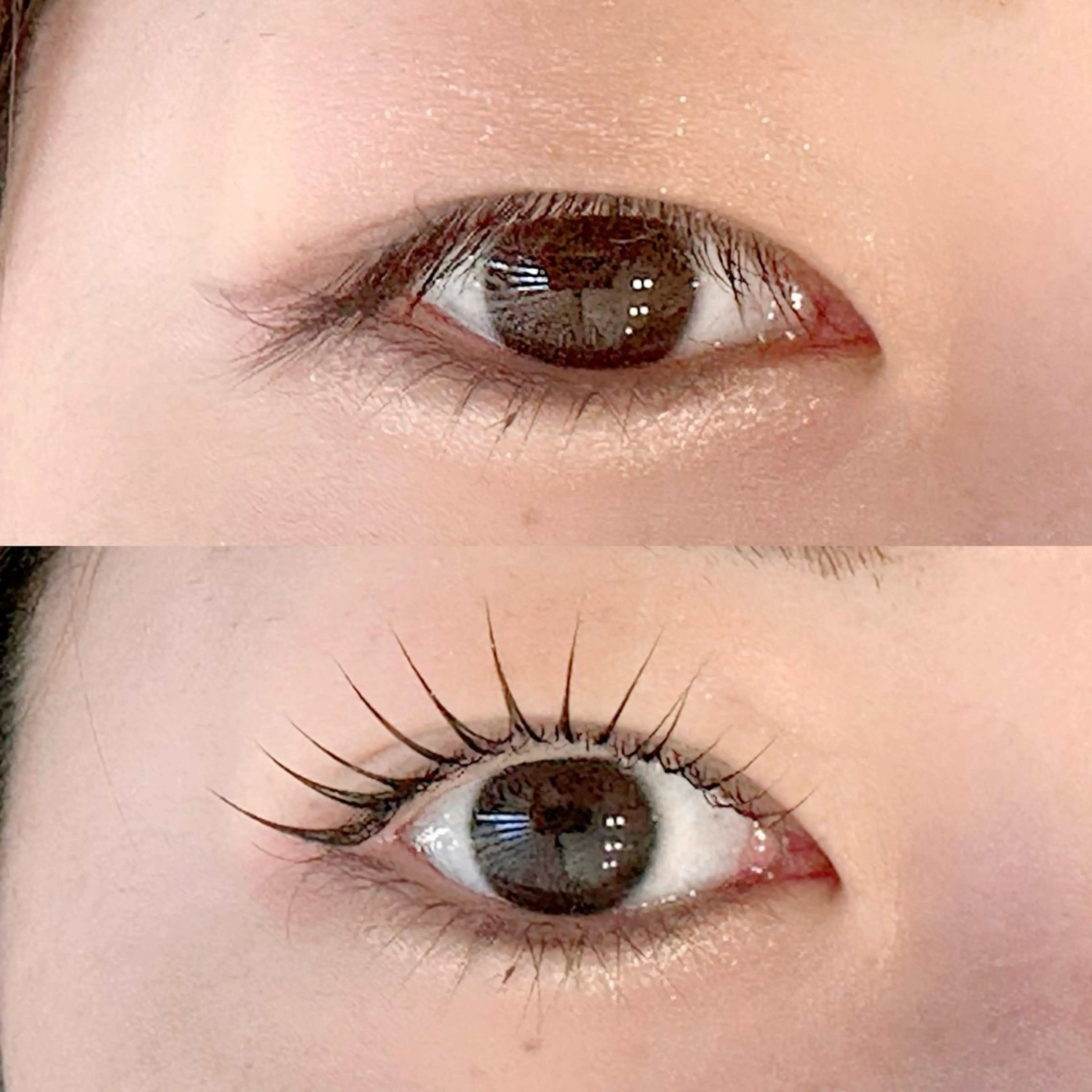 マツエク・マツパ まつ毛・眉/ 練習＆モニター専用のマツエク・マツパデザイン