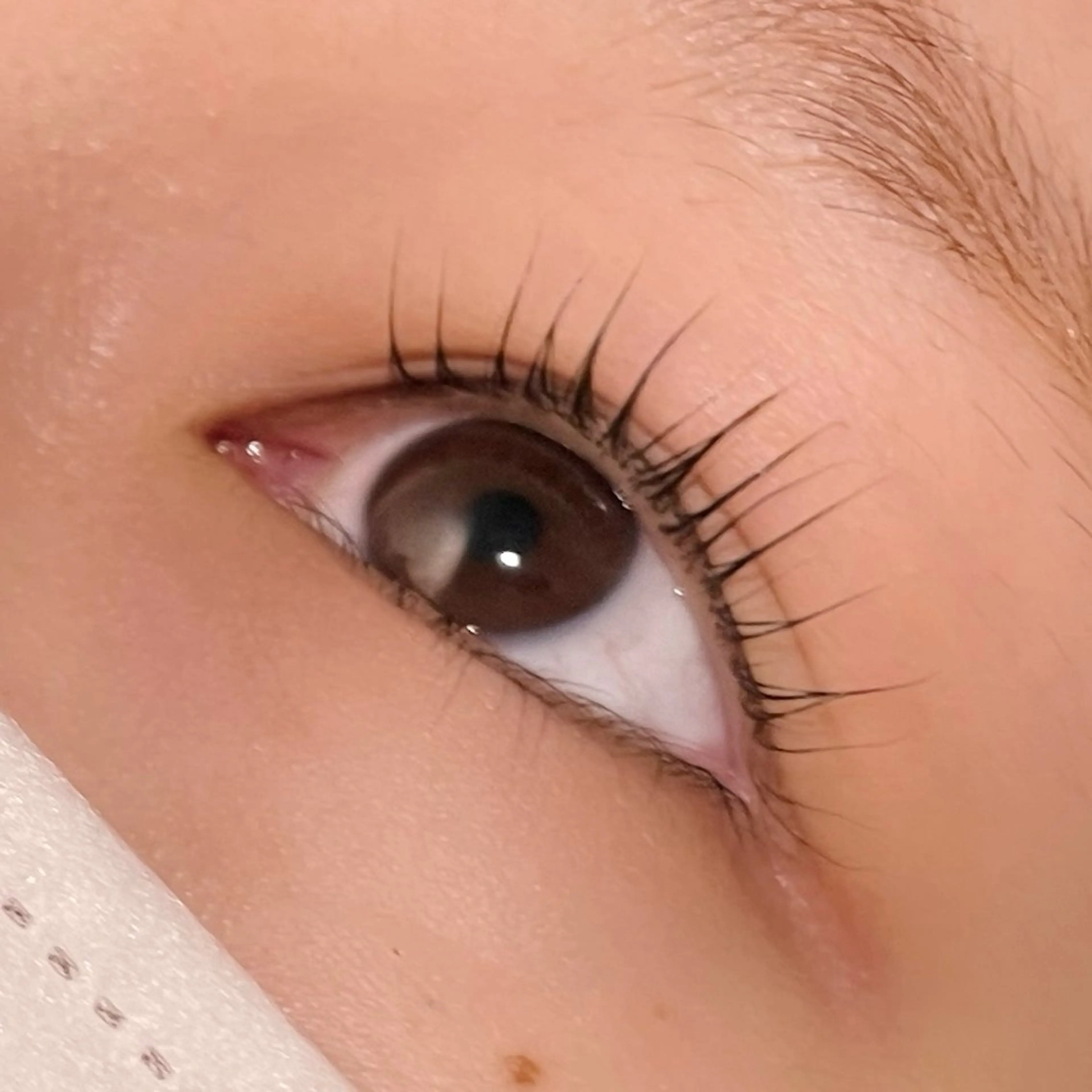 マツエク・マツパ 束感まつ毛 ao/TRUTH 獨協大学前店のマツエク・マツパデザイン