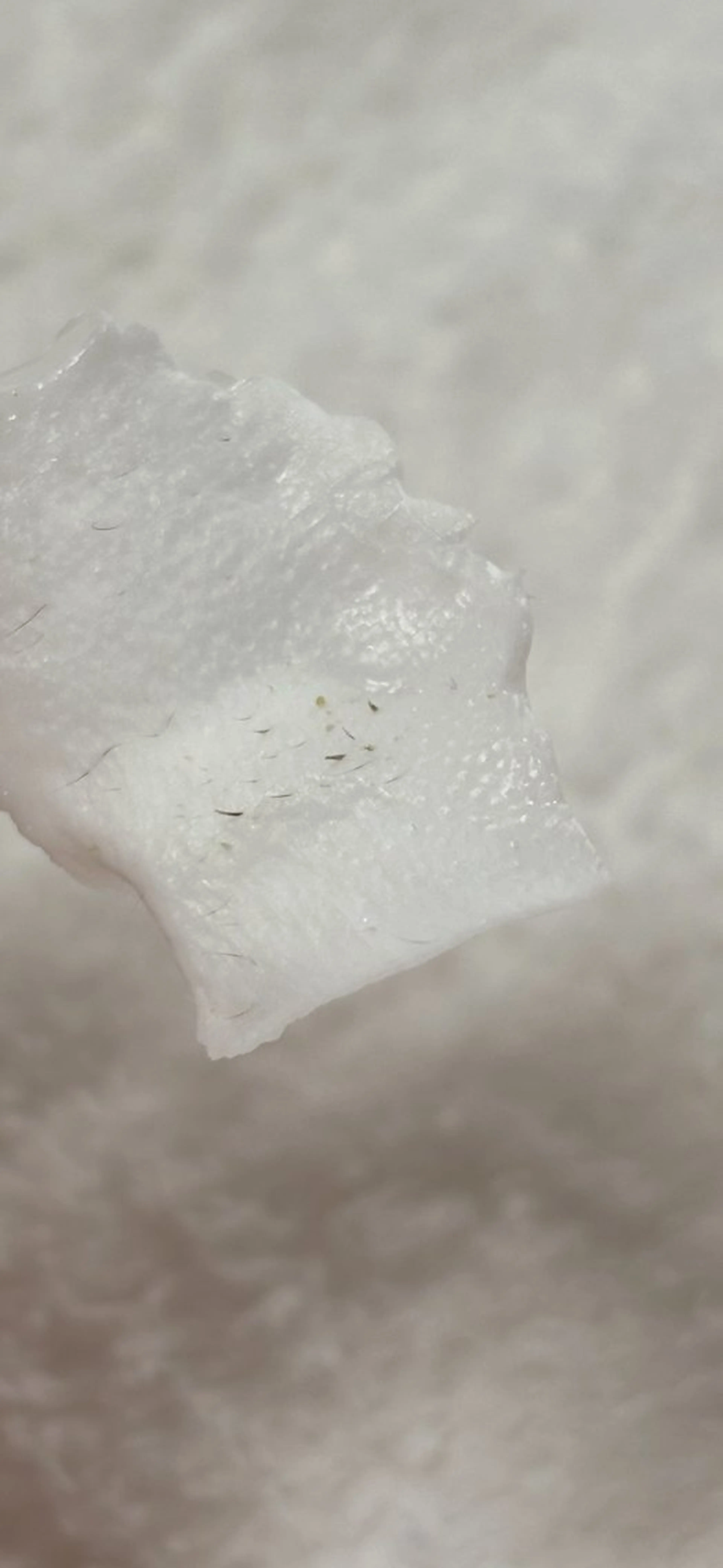 Vibliss所属・江洲 Vibliss ｳﾞｨﾌﾞﾘｽのマツエク・マツパデザイン