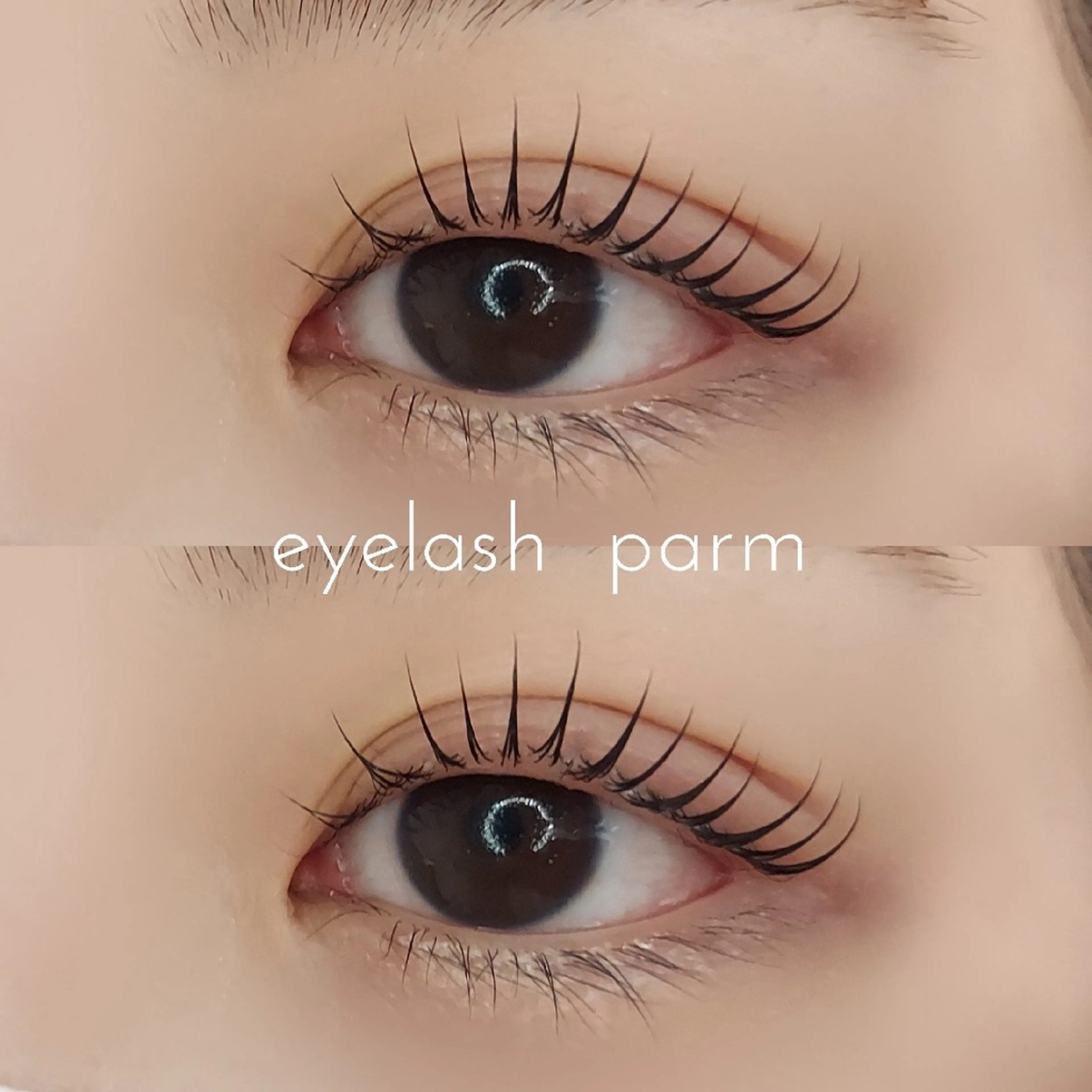 韓国で大人気⭐マスカラパーマ ¥4000の写真