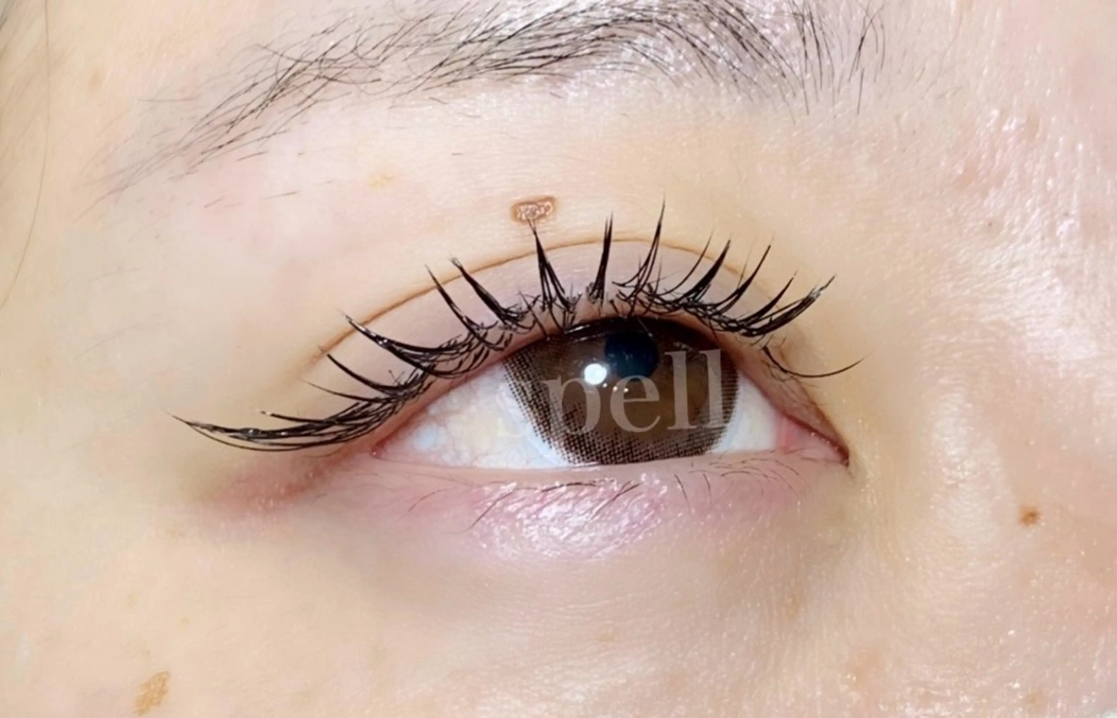 マツエク・マツパ spell_eyelash所属・spell eyelashのマツエク・マツパデザイン