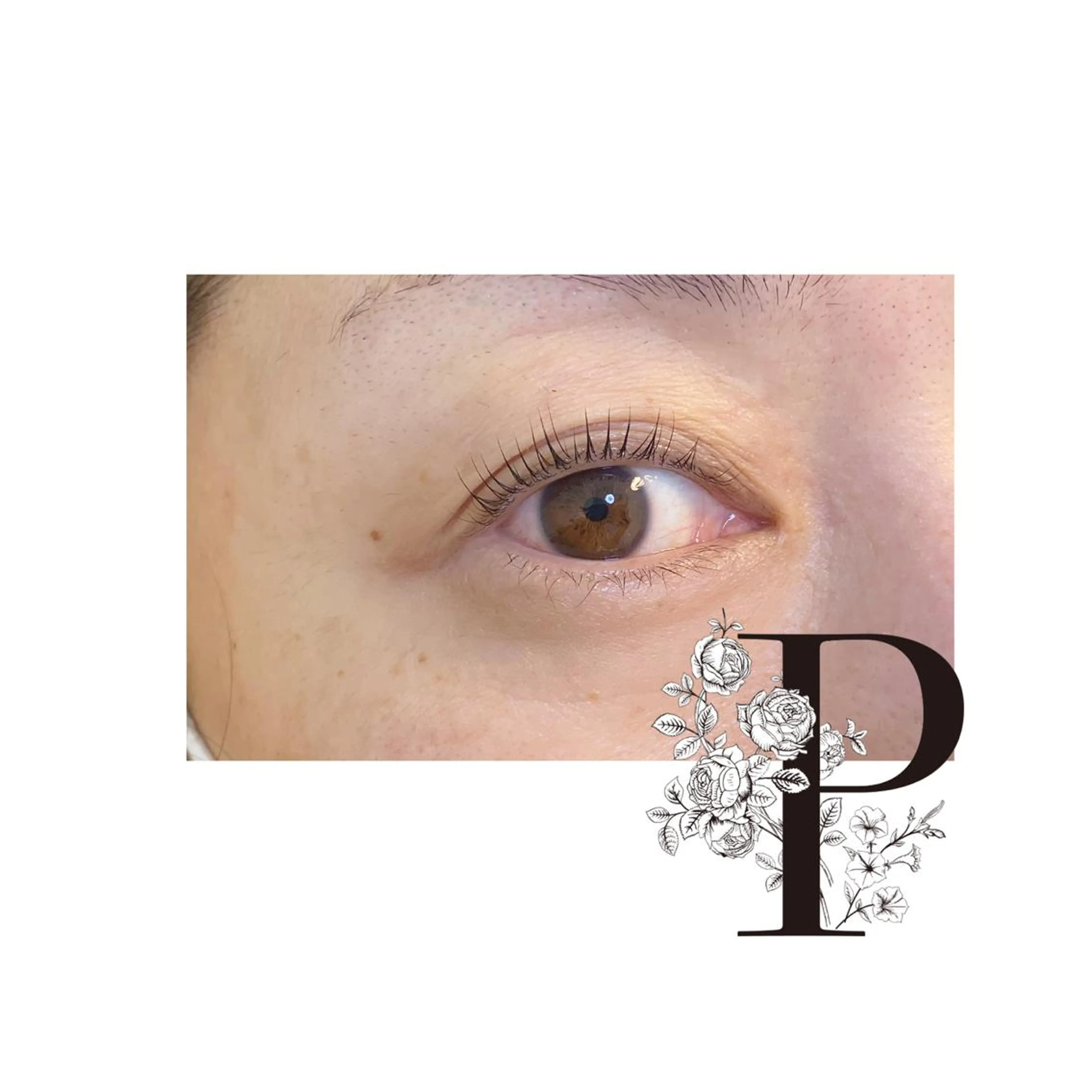 マツエク・マツパ アイブロウ パリジェンヌラッシュリフト まつげパーマ プロカラーカレン 藤井寺所属・プロカラーカレン 藤井寺店のマツエク・マツパデザイン