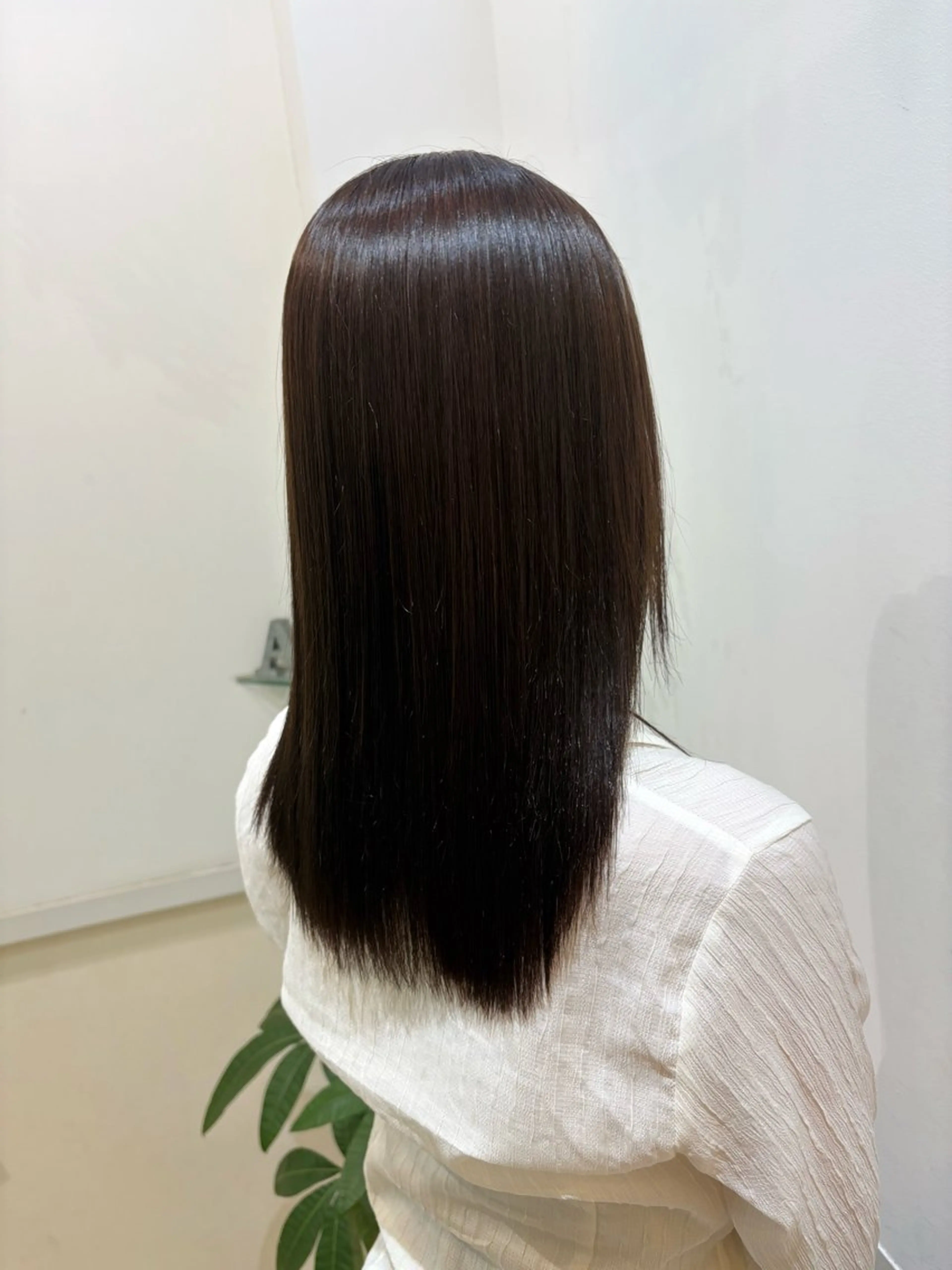 カラー カラーモデル募集中 🩶内村莉奈🧚🏻のヘアスタイル