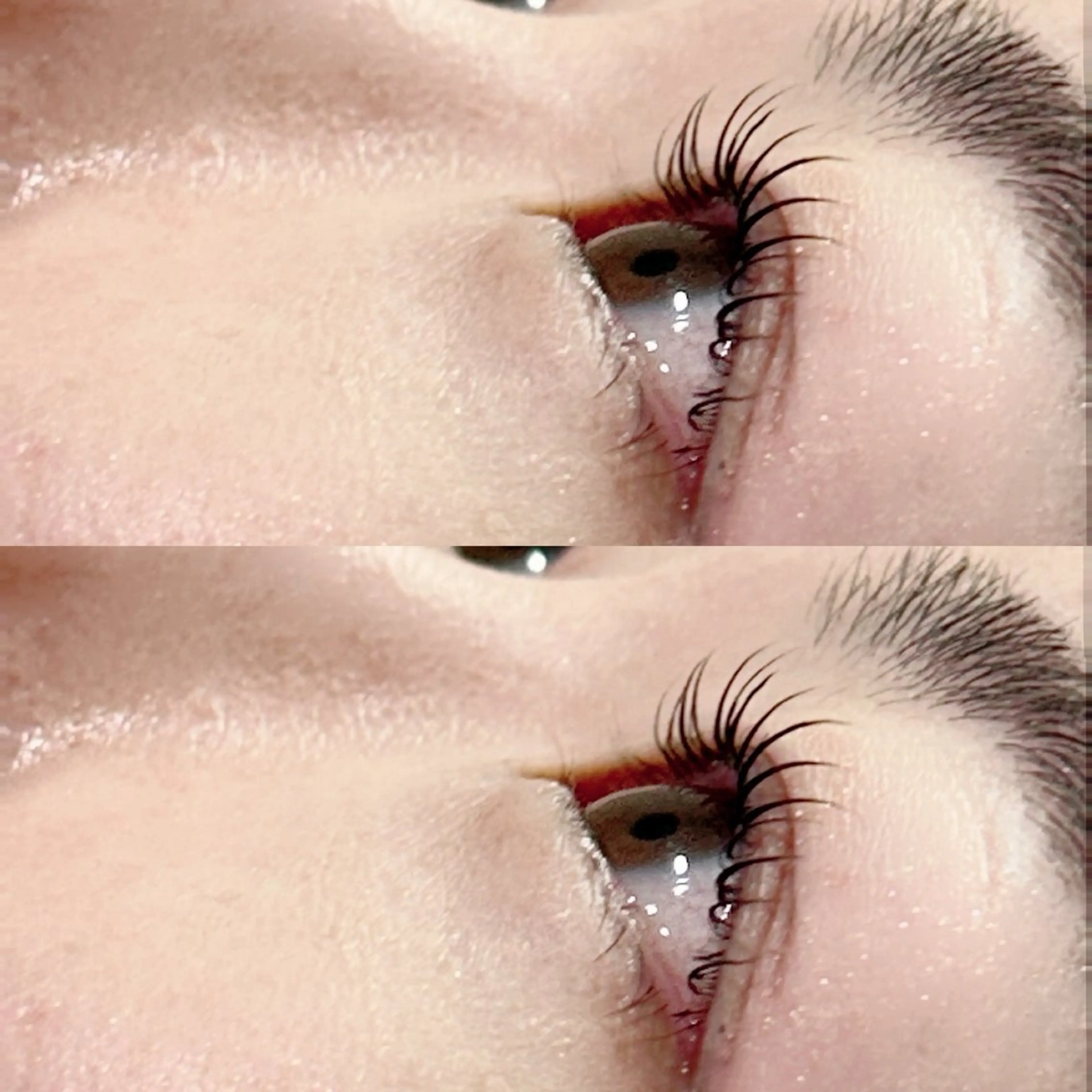 マツエク・マツパ マツパ Frances Miyamotoのマツエク・マツパデザイン