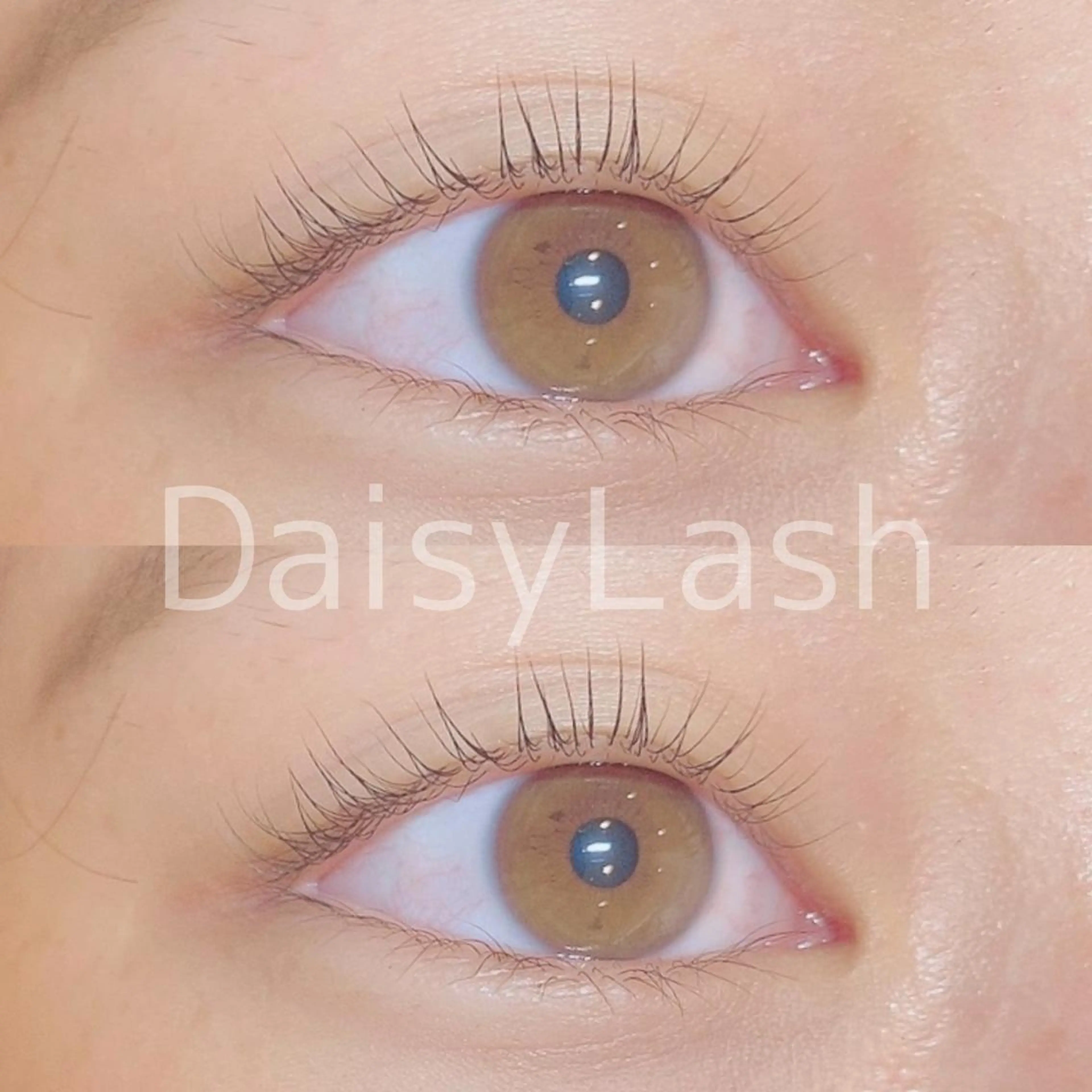 マツエク・マツパ DaisyLash 京橋店のマツエク・マツパデザイン