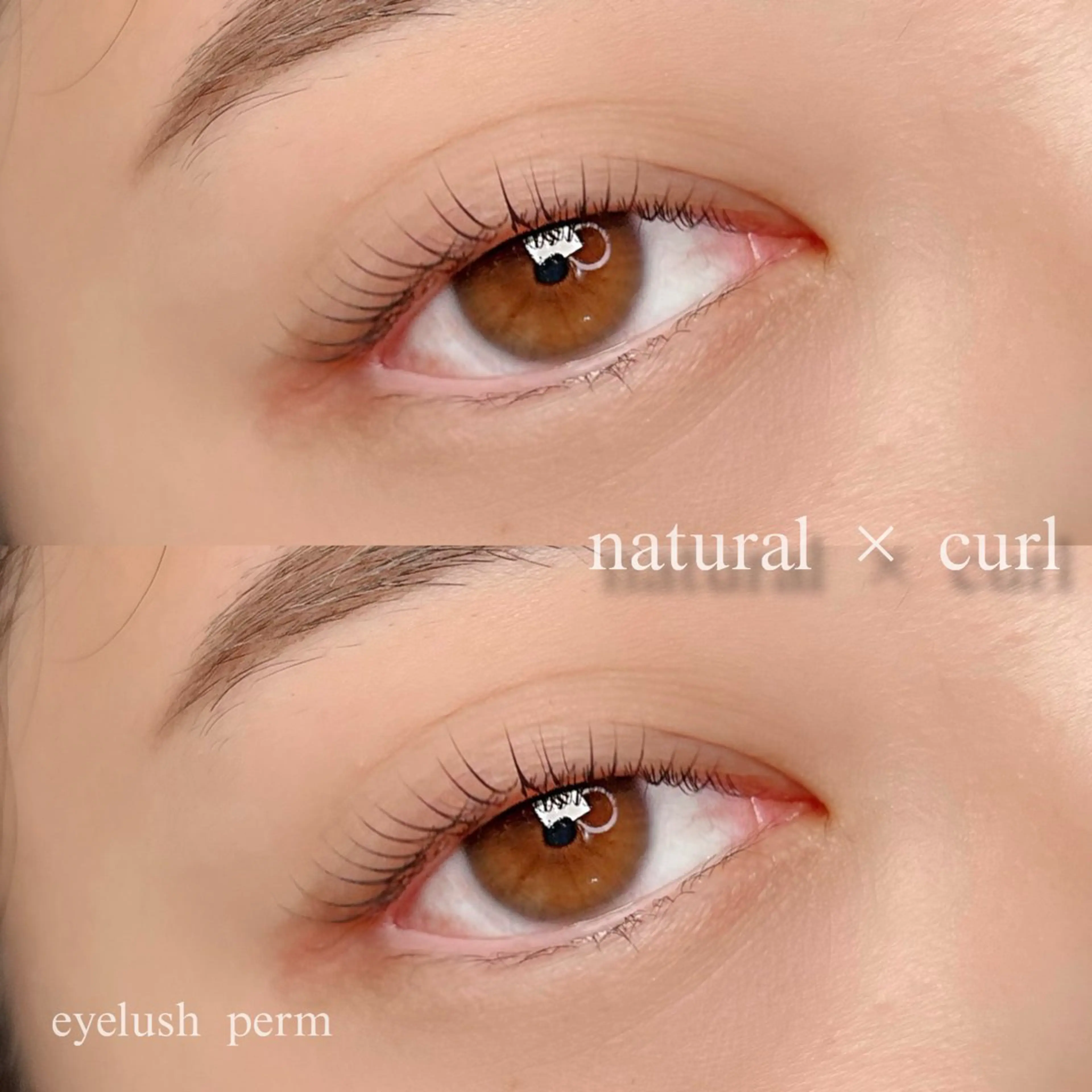 マツエク・マツパ ナチュラル まつげパーマ HARUHARU Reiのマツエク・マツパデザイン