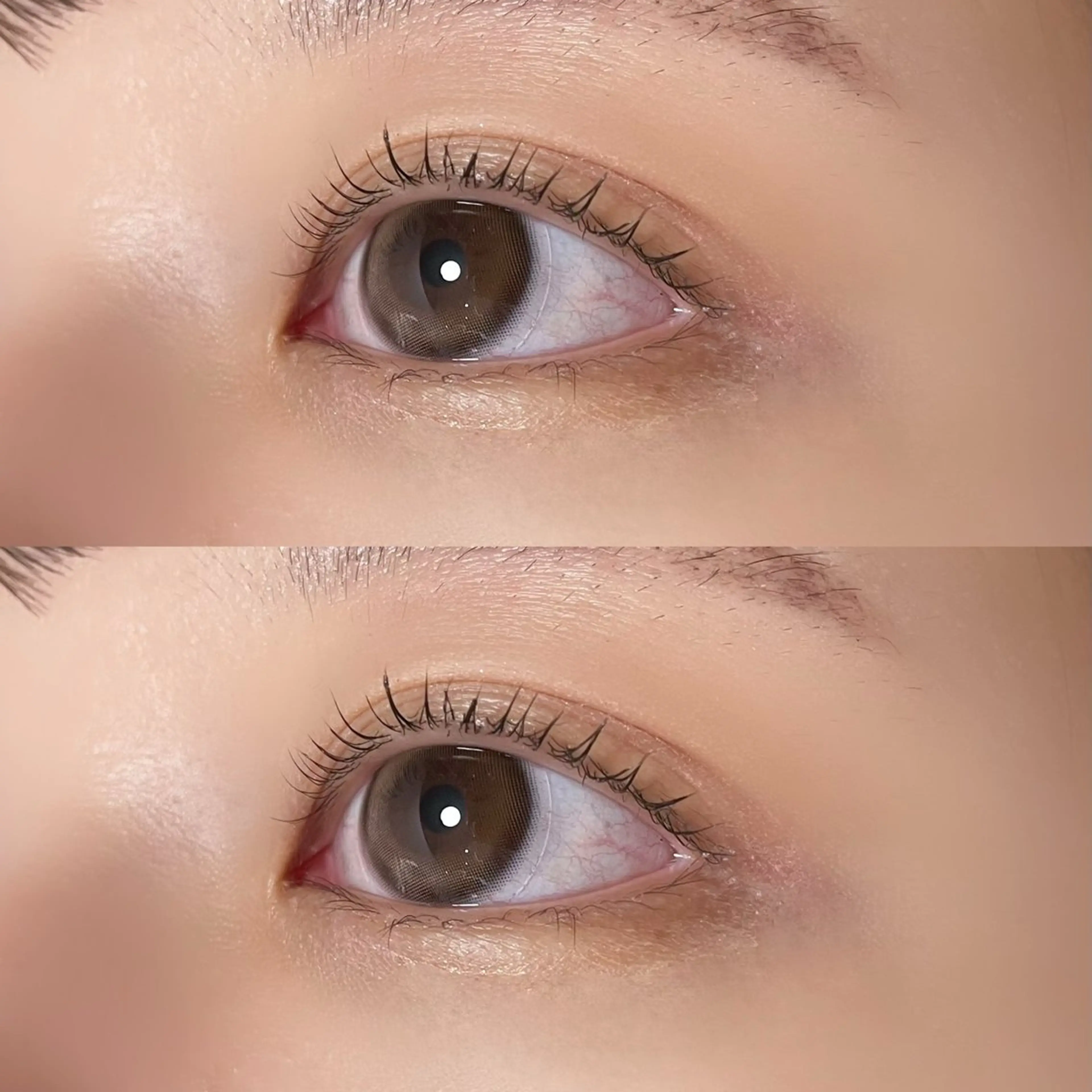 毛質改善💫トリートメントまつ毛パーマ🌱【初回​〜​3回目まで】ケラチン配合の写真