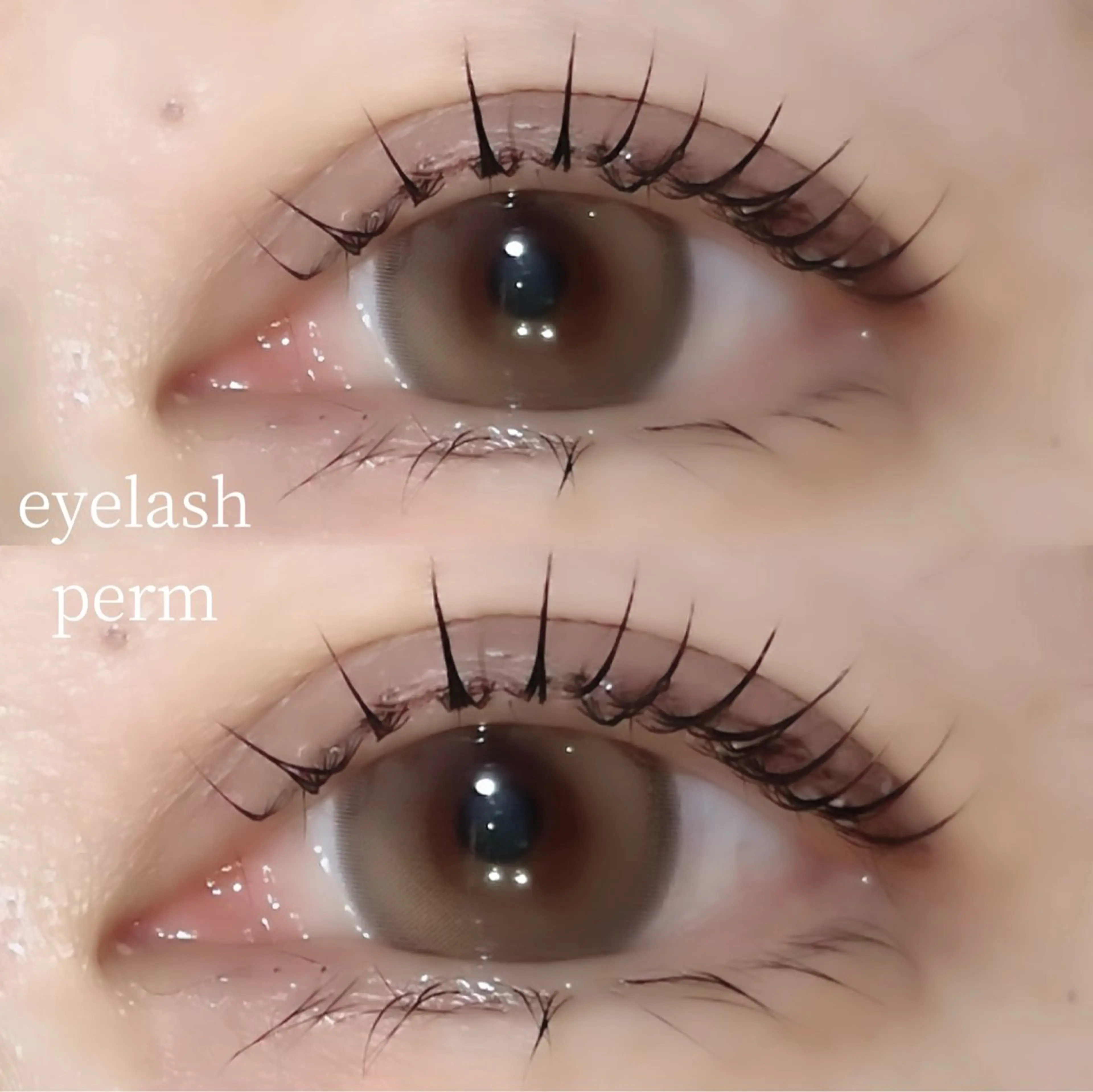 マツエク・マツパ Mon mignon ෆ‪momokaのマツエク・マツパデザイン