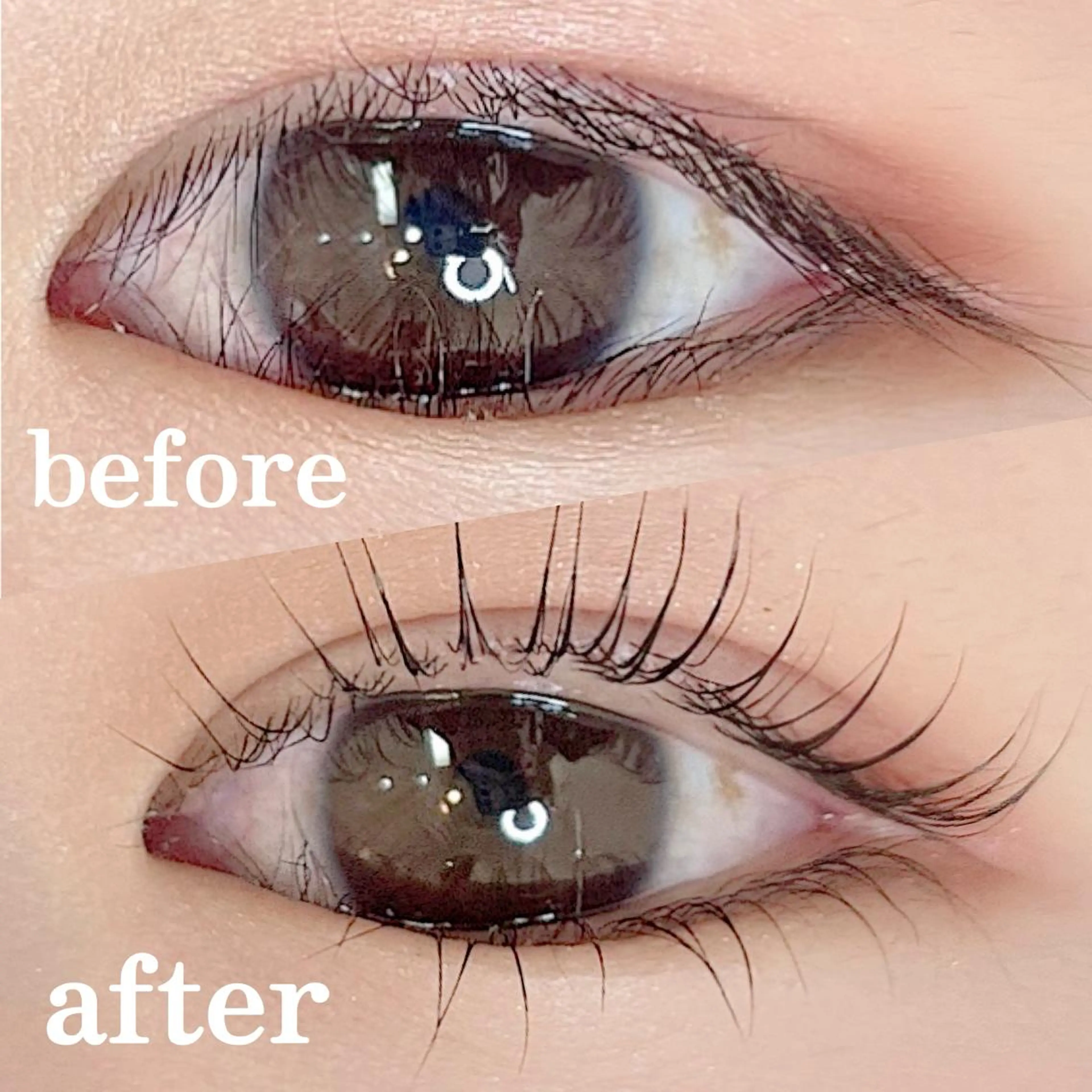 【 上下 まつ毛パーマ🦩ˊˎ˗ 】の写真