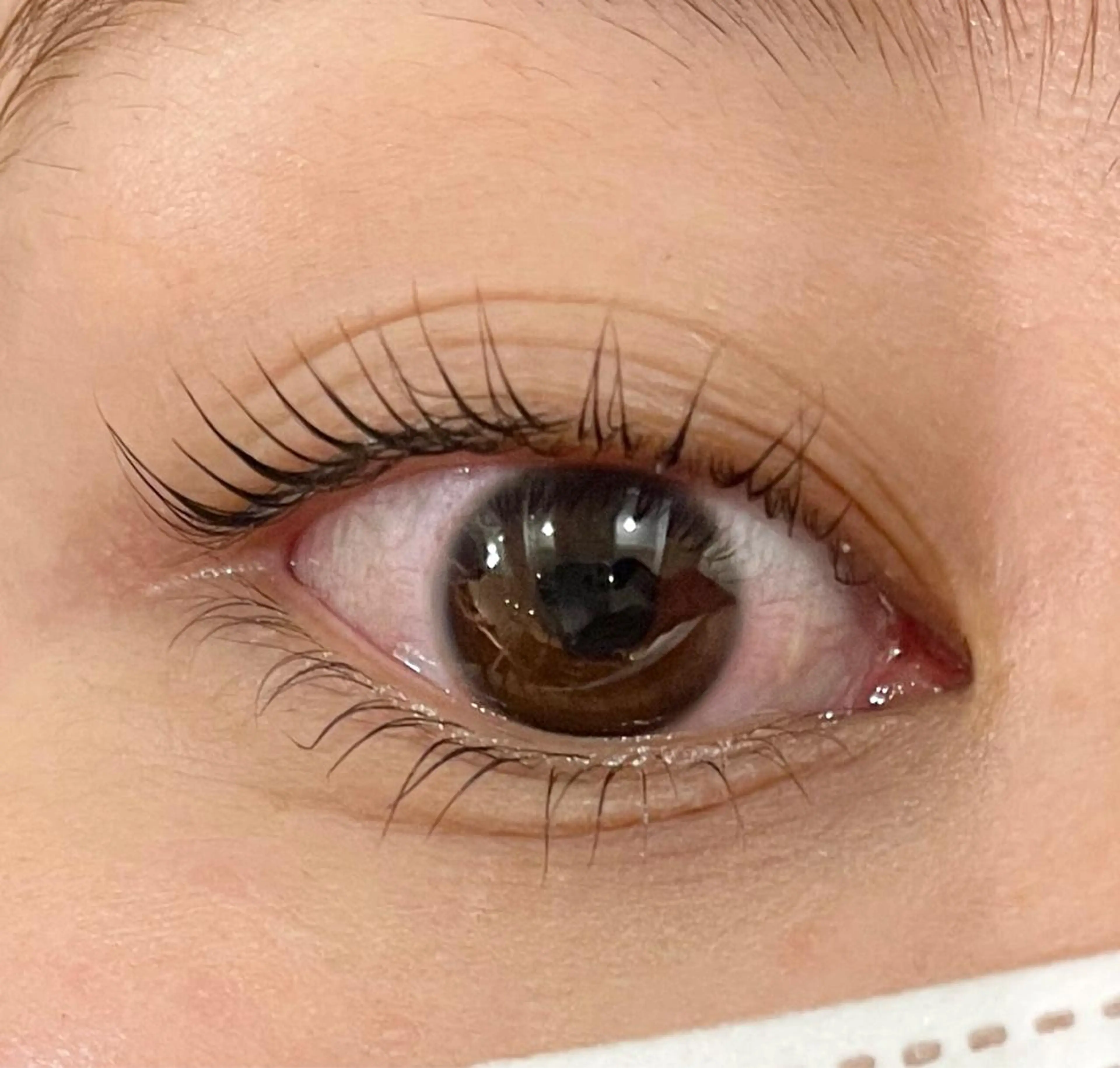 マツエク・マツパ マリーテレジア 🌻RUKAのマツエク・マツパデザイン