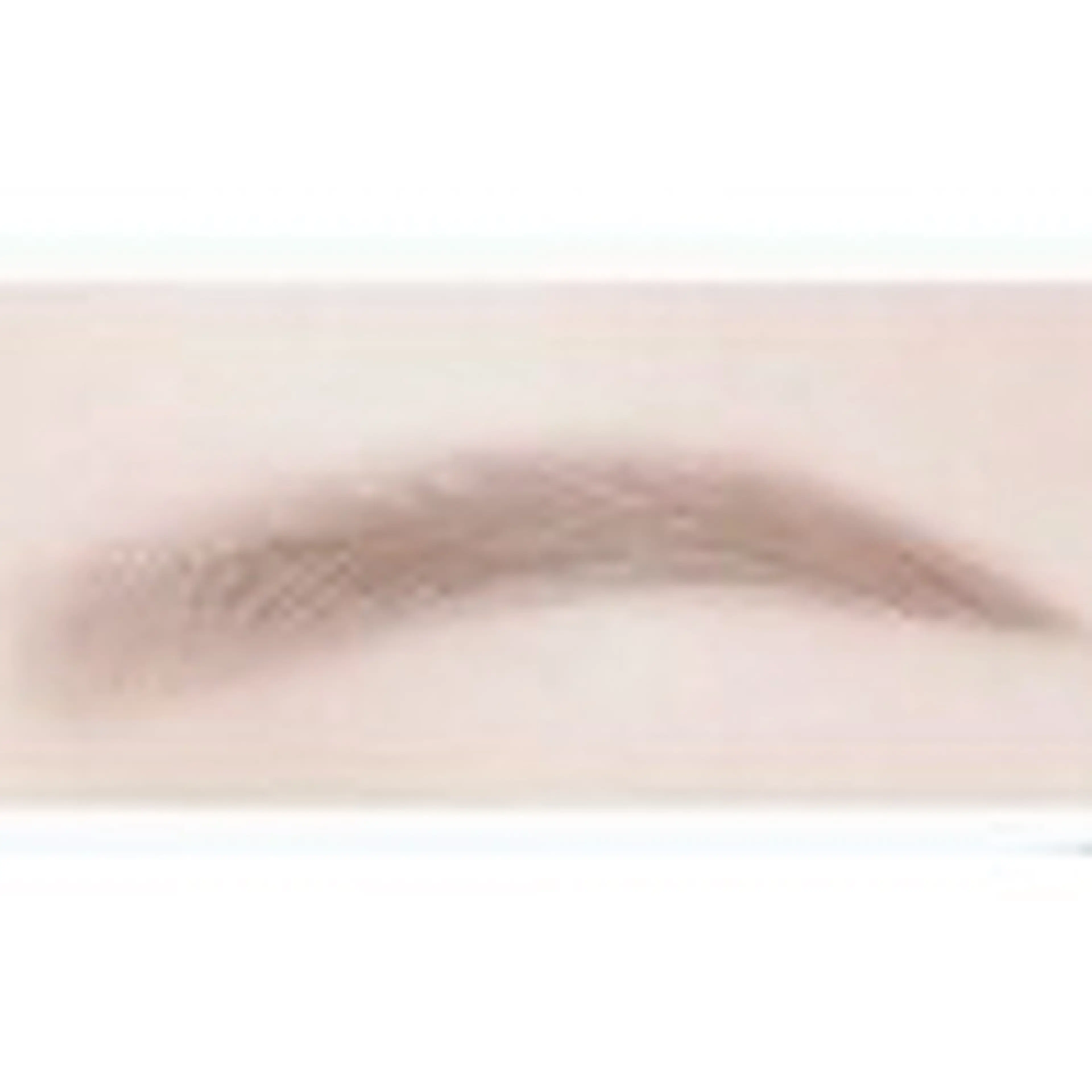 美眉スタイリング　　　　　　　　　　　　　　　　　　　　（アイブロウWax+カット+間引き+お仕上げ眉メイク付き）の写真