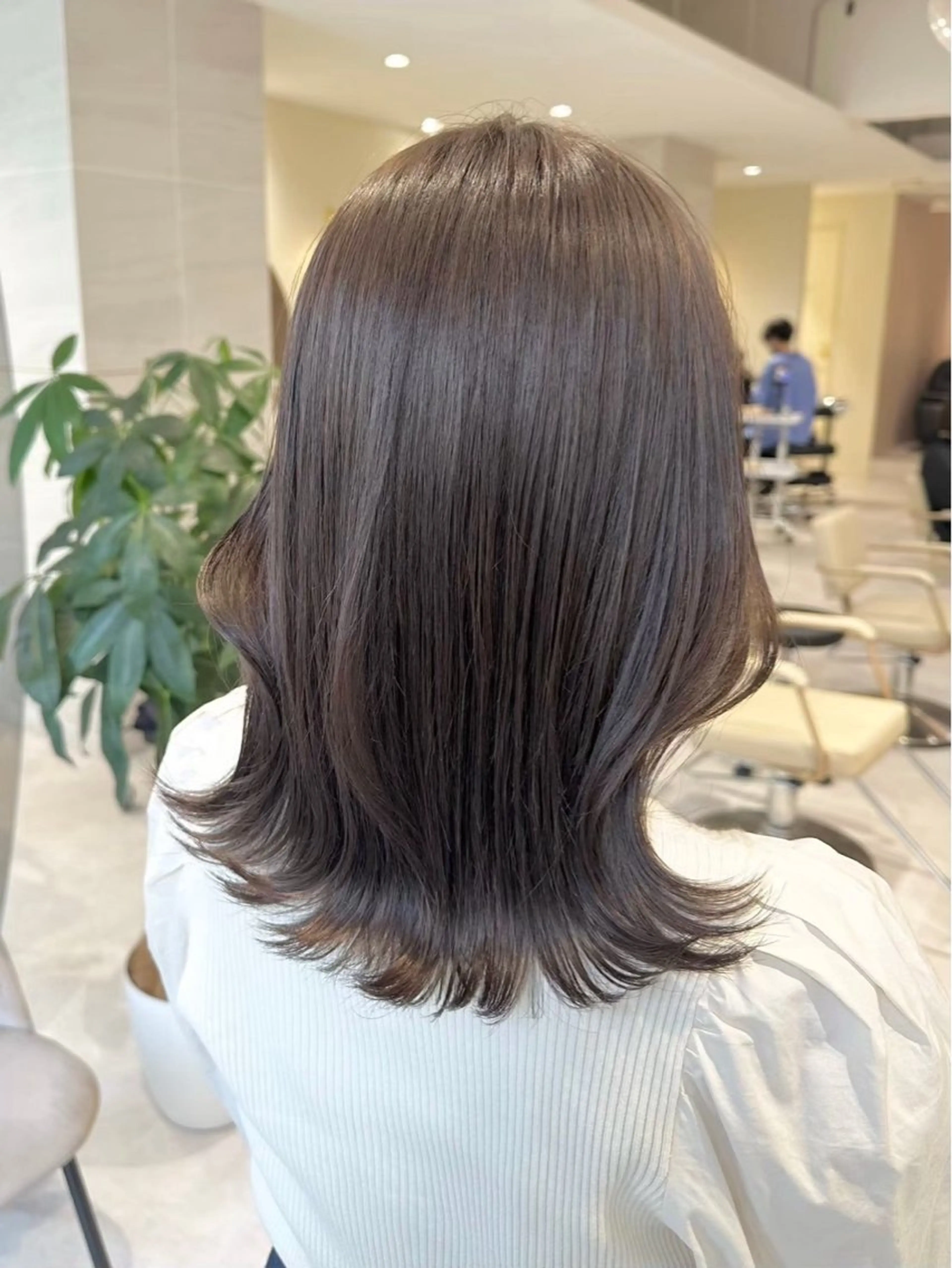 セミロング カラー 似合わせカット 小顔カット 縮毛矯正 カット ヘアカラー 韓国風/小顔レイヤー /艶カラーのヘアスタイル