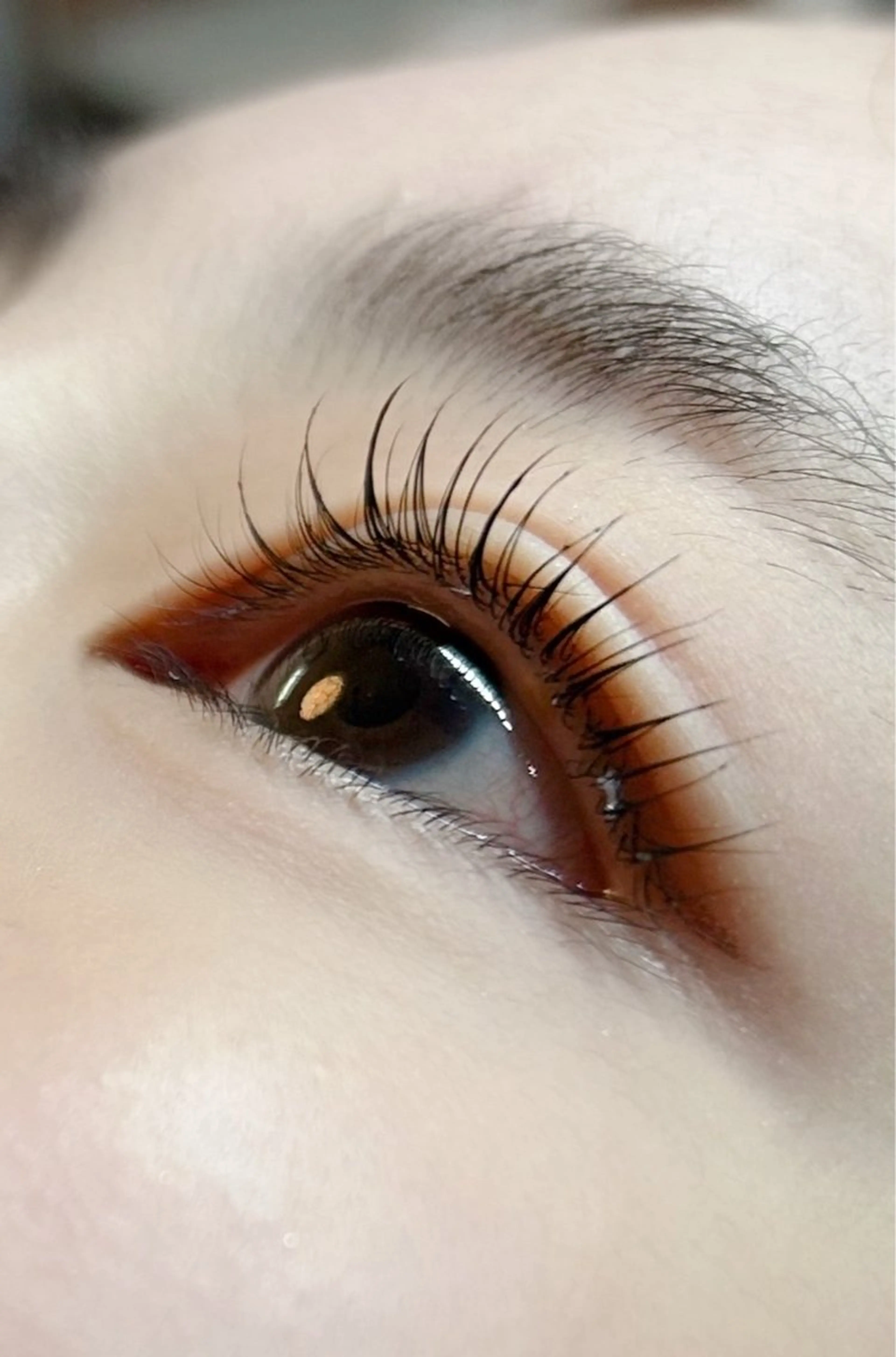 マツエク・マツパ lomlロムル所属・yoshi chikaのマツエク・マツパデザイン