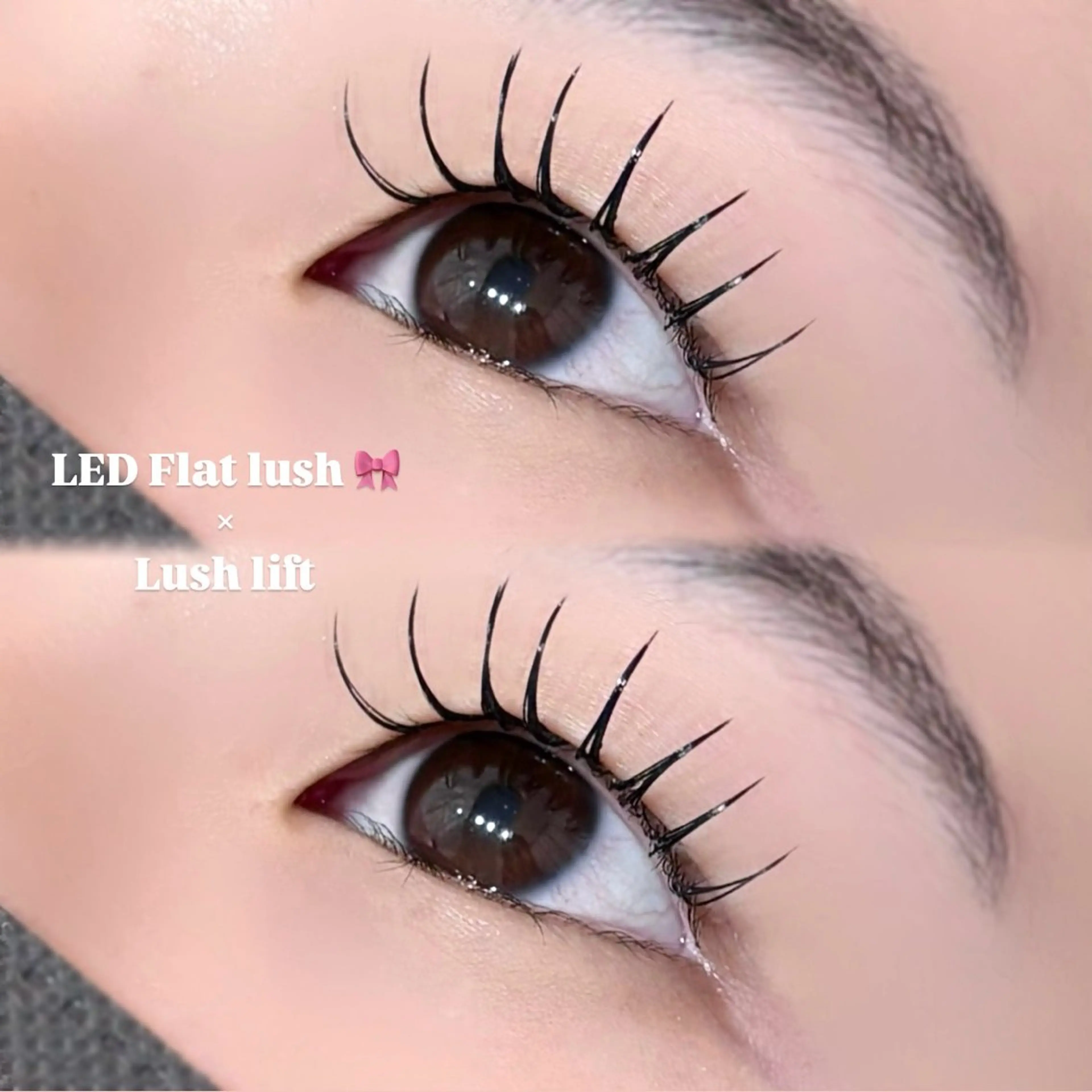 マツエク・マツパ 束感まつ毛 キュート マツエク EYELA 小築🐈‍⬛🤍のマツエク・マツパデザイン