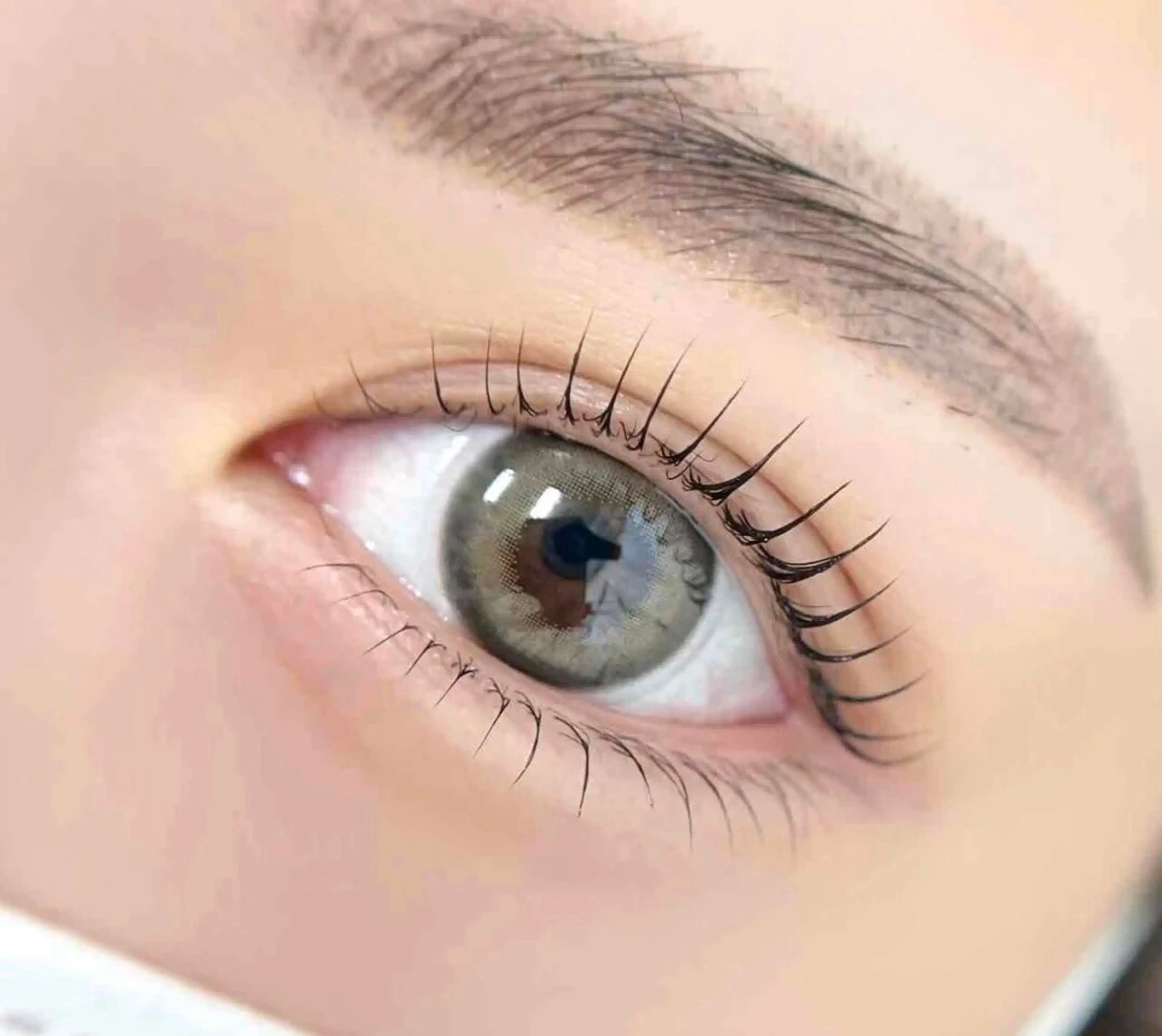 ラッシュリフト上下 美容液付の写真