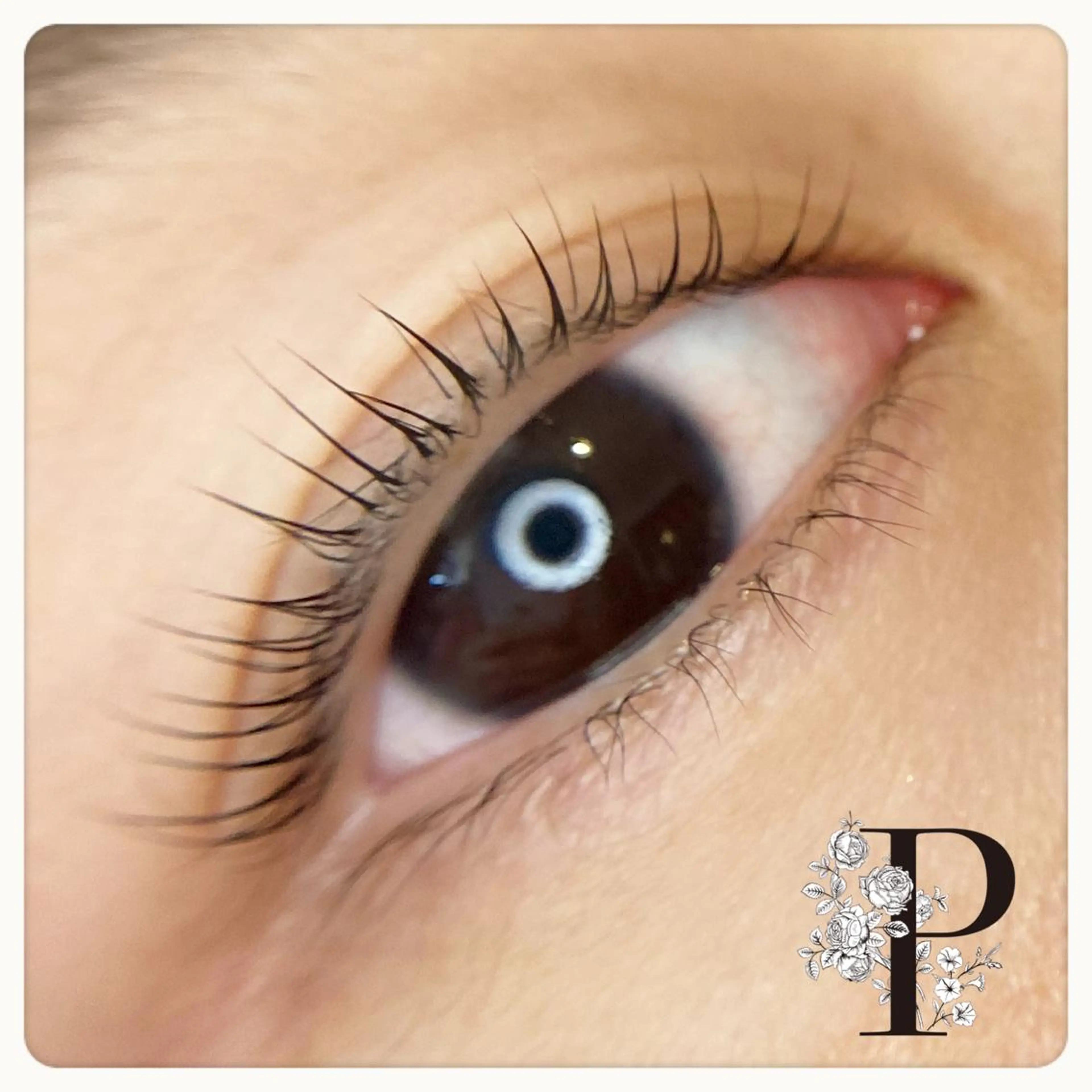 マツエク・マツパ パリジェンヌラッシュリフト pyt【ピュット】所属・小笠原 真佑子のマツエク・マツパデザイン