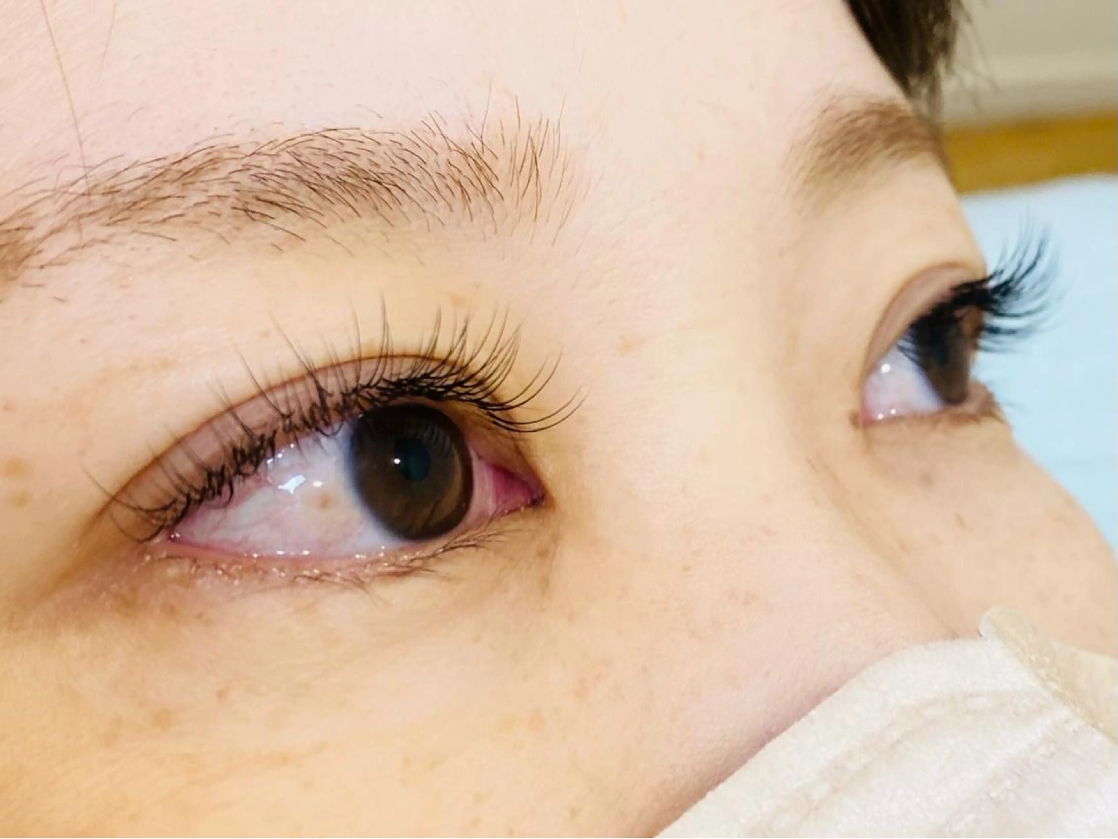 マツエク・マツパ Dolce eye lash ねごろのマツエク・マツパデザイン