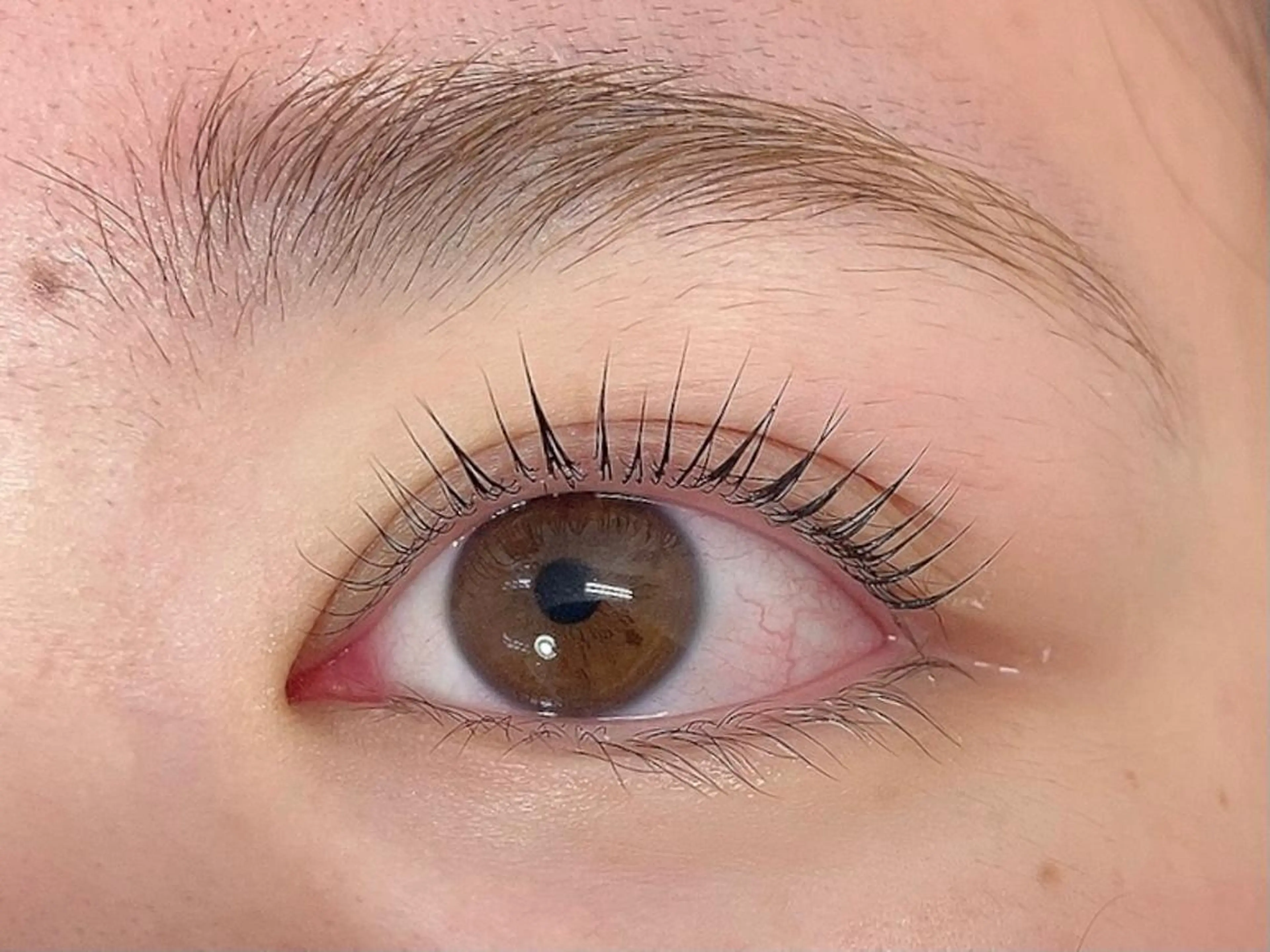 まつげパーマ【パリジェンヌ】　4800円★エクステオフがある場合オフ代＋300円の写真