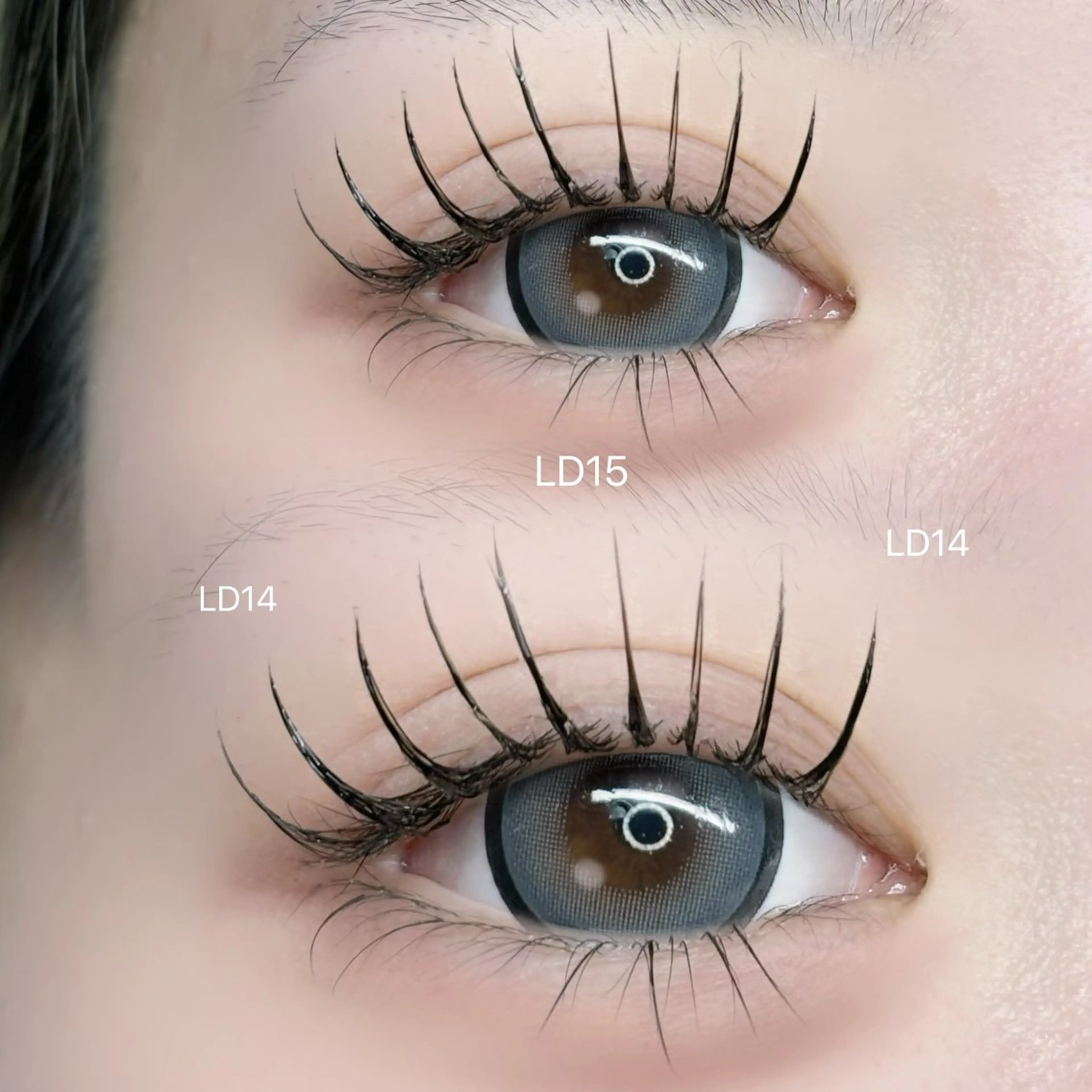 💋フラットラッシュ付け放題💋の写真