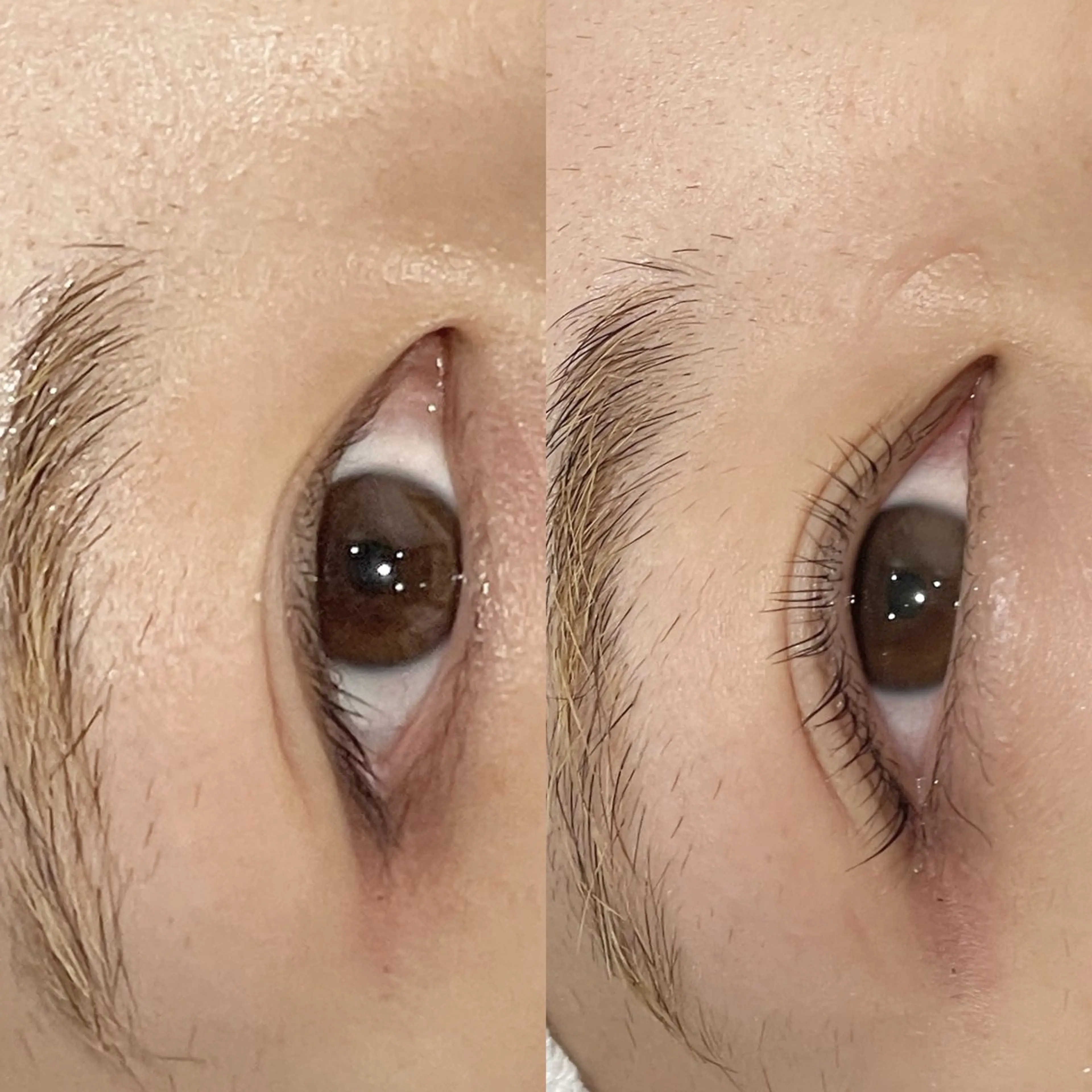 マツエク・マツパ パリジェンヌラッシュリフト マツパ PROGRESS 🤍白井🤍のマツエク・マツパデザイン