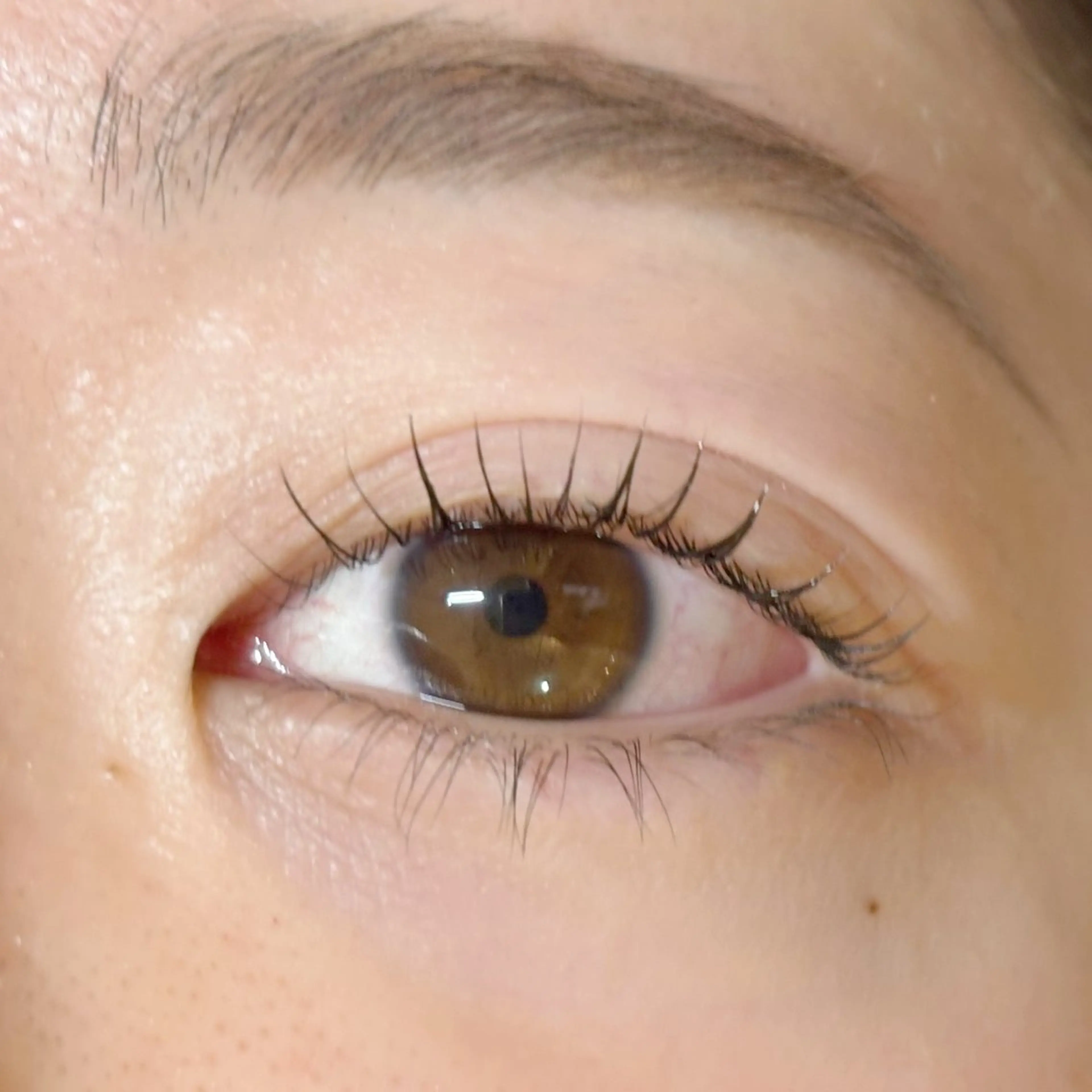 マツエク・マツパ 仙台まつ毛エクステサロンdesignK泉中央店所属・designK佐藤 心咲の眉毛・アイブロウイメージ