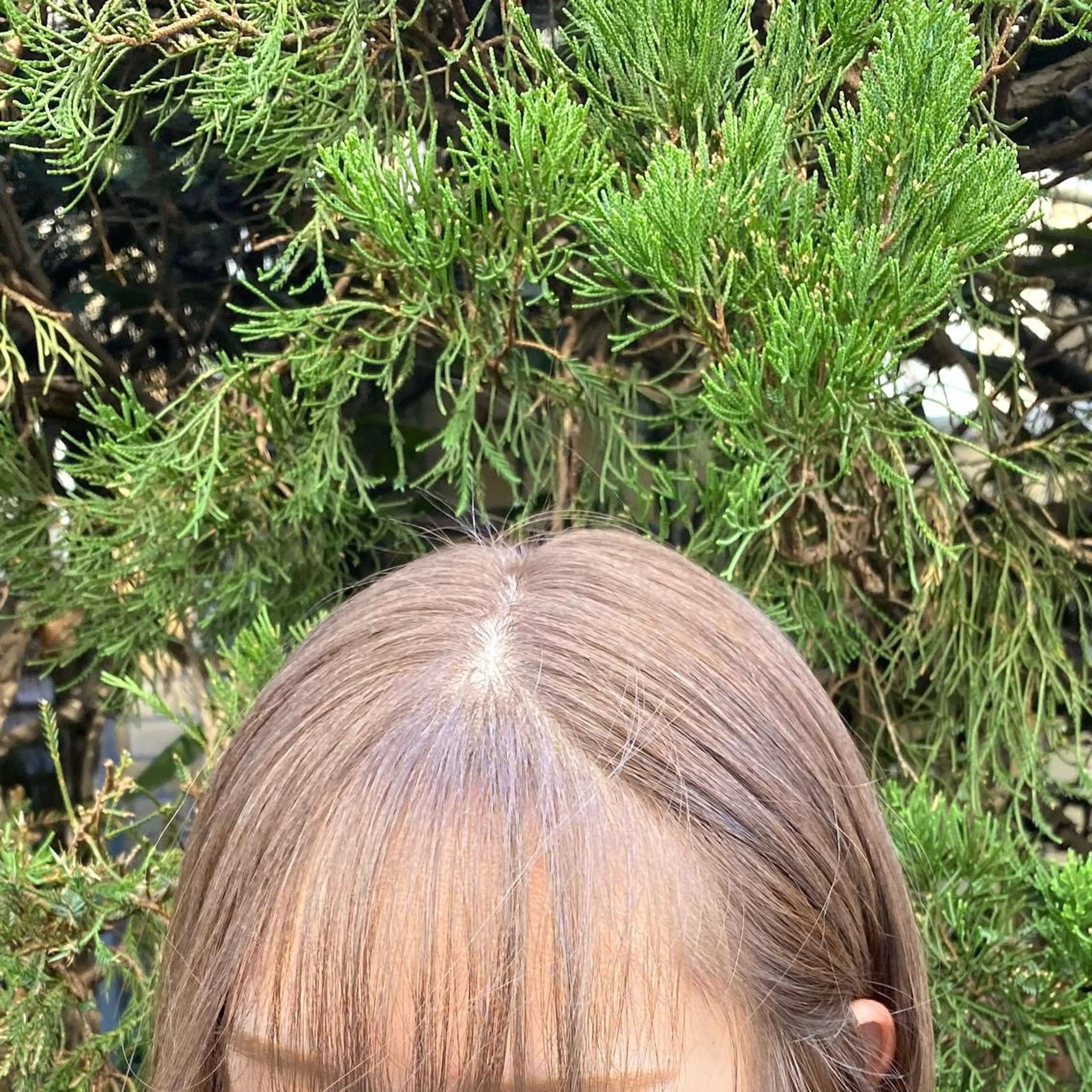 ロング カラー シルバー 久力琴音''透明感 カラー''アレンジのヘアスタイル