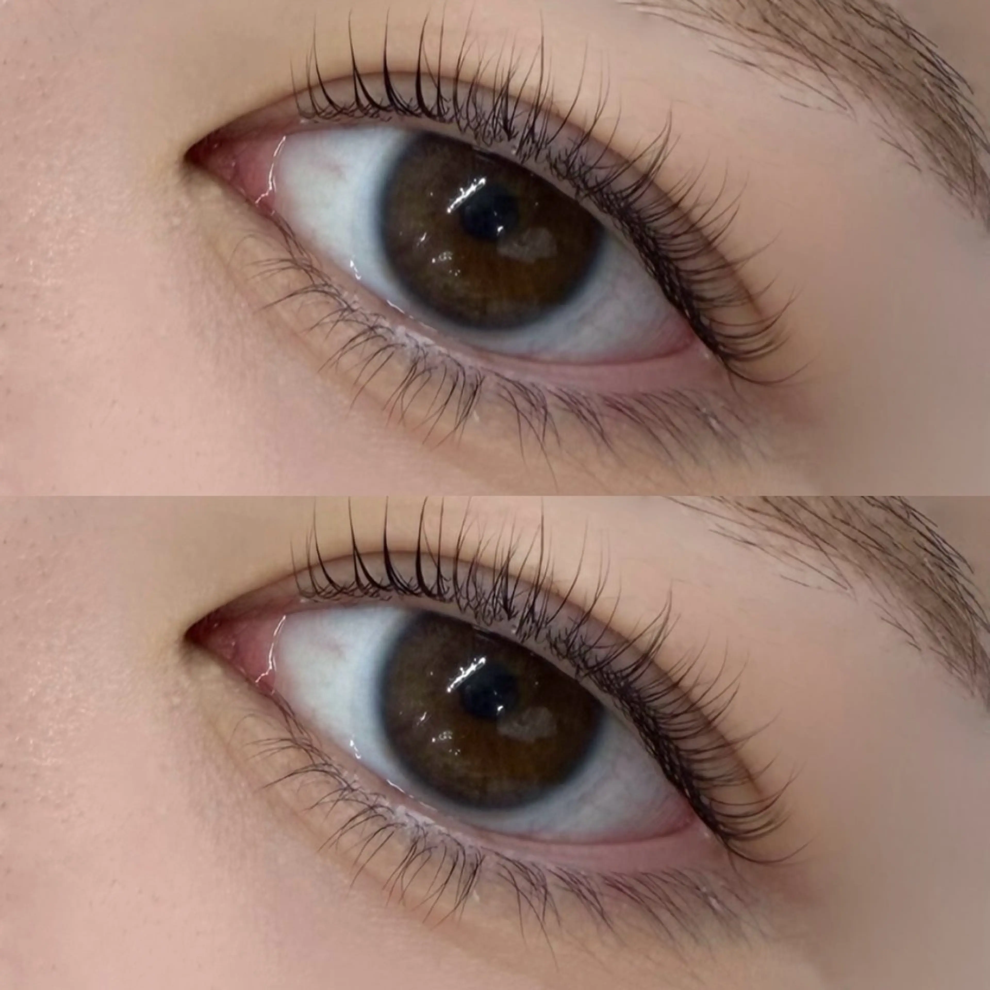 まつ毛パーマ【当日限定価格🎄♥️】の写真